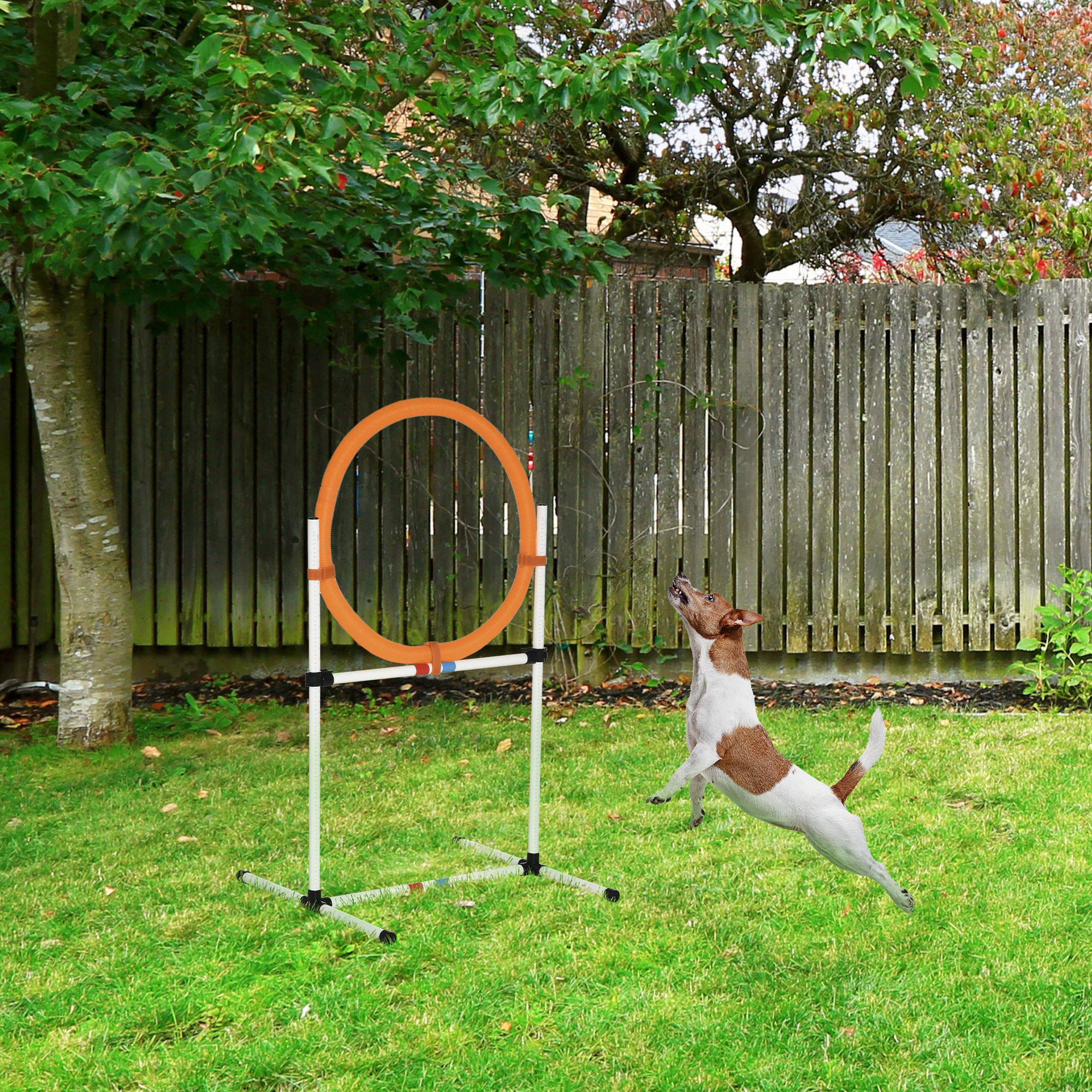 Šunų agility treniruočių rinkinys su žiedu 2 viename, Model 4, plastikas PE, balta+oranžinė, 74,5 x 66 x 91 cm - Image 2