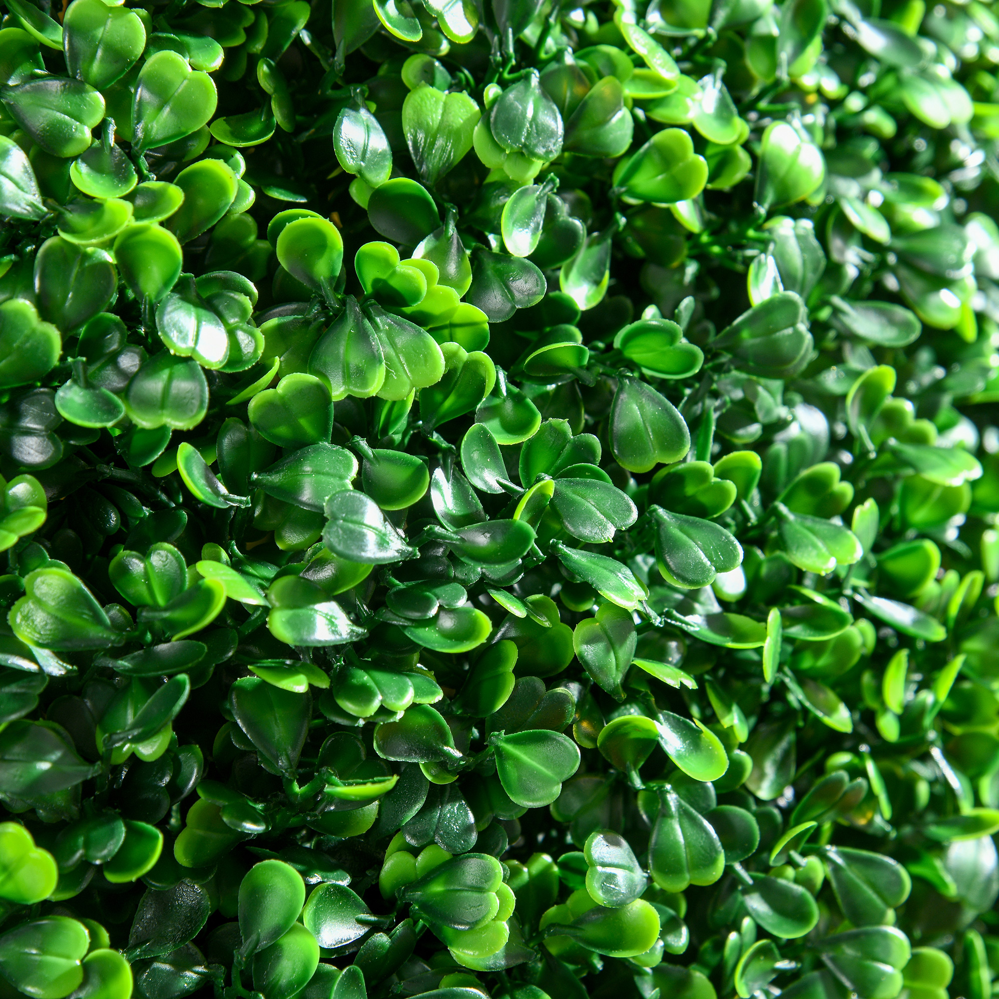 2 vnt dirbtinių buksmedžio rutulių rinkinys, žalia, Ø 50 cm - Image 8