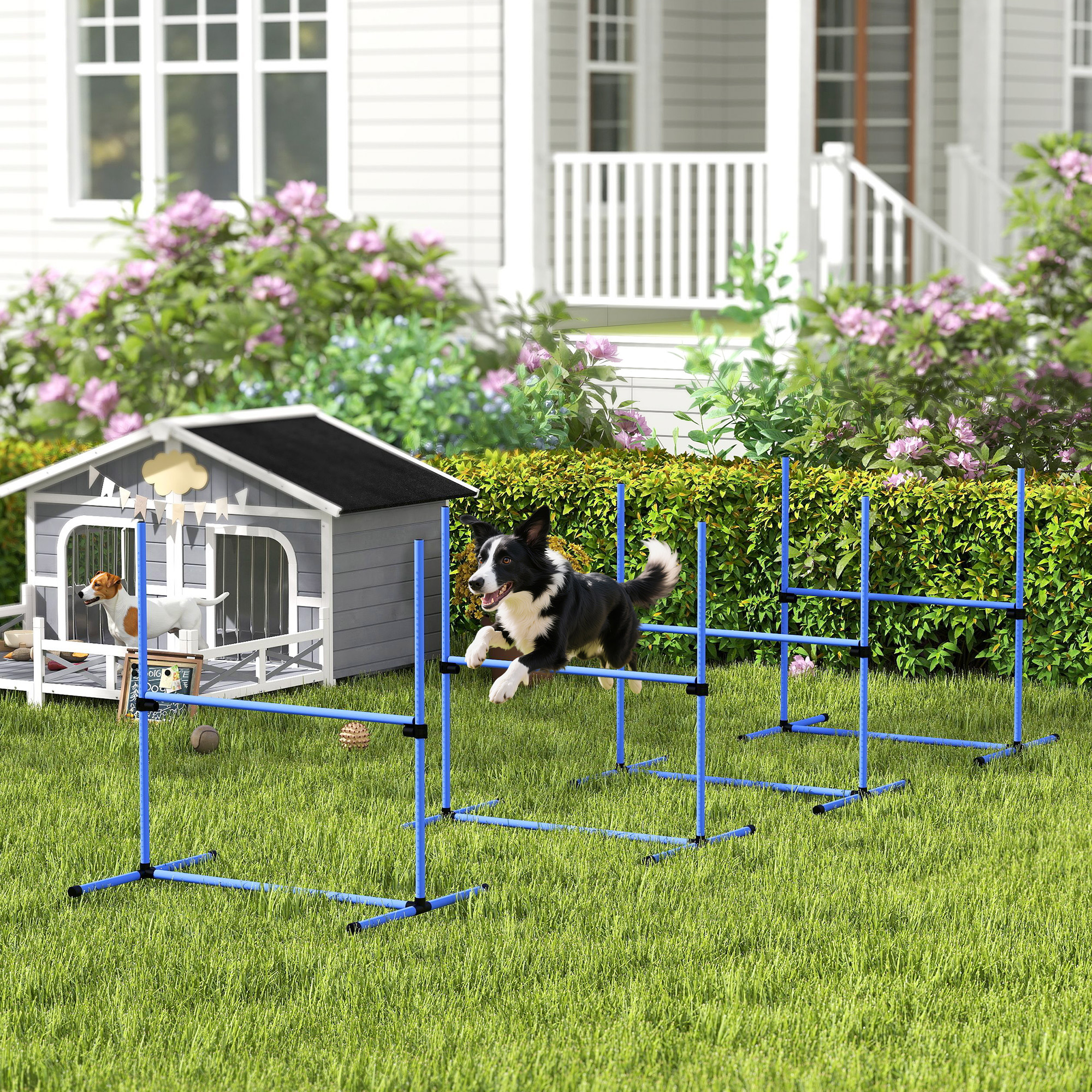 Reguliuojamas šunų agility rinkinys, 4 dalių, mėlynas, 99 x 65 x 94 cm - Image 2