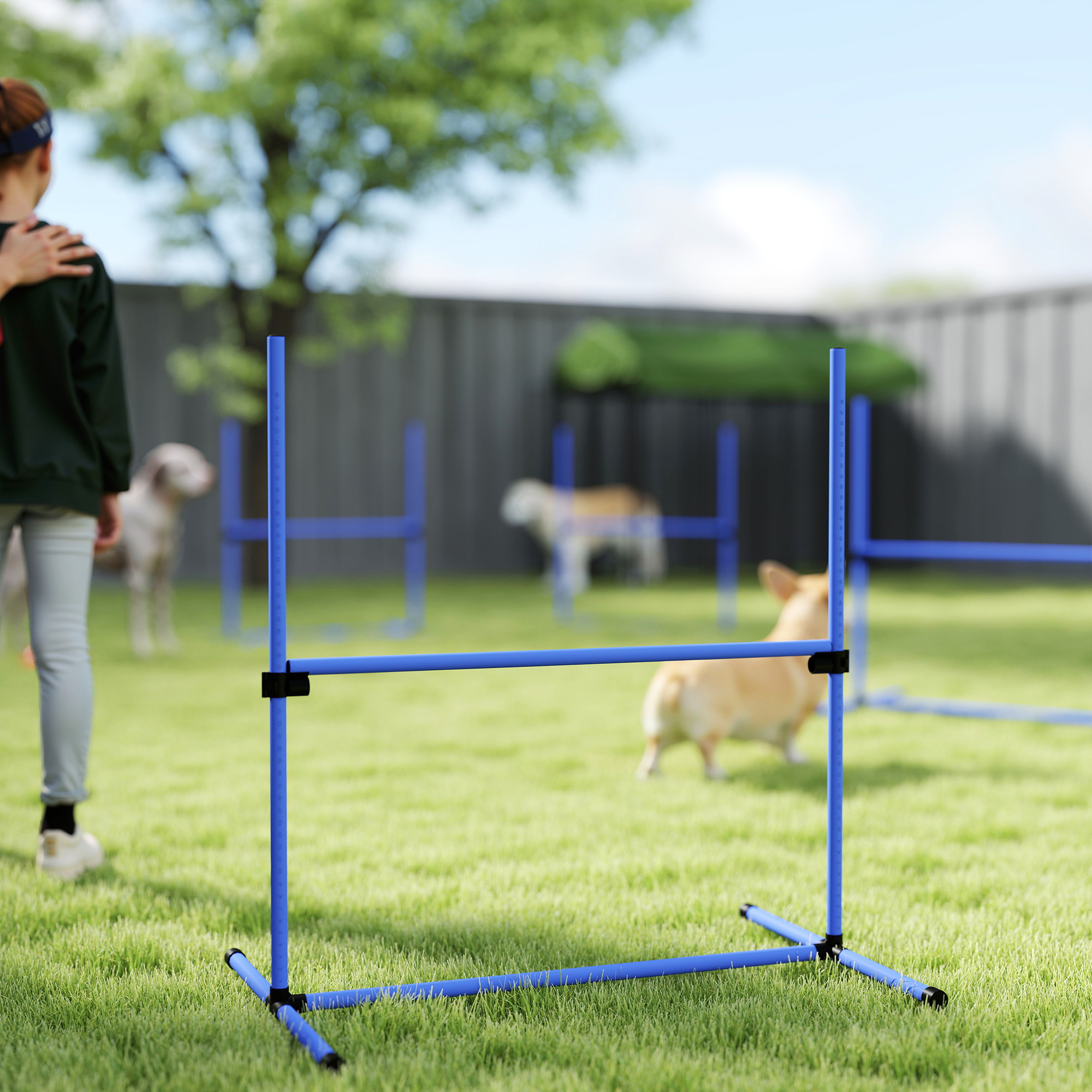 Reguliuojamas šunų agility rinkinys, 4 dalių, mėlynas, 99 x 65 x 94 cm - Image 9