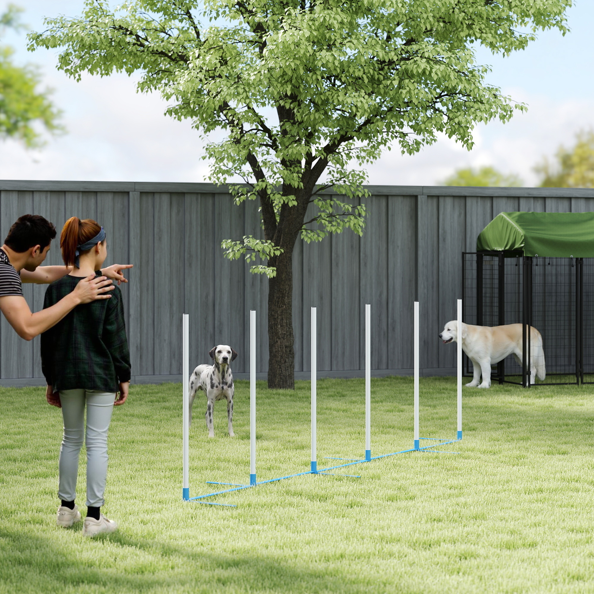 Suņu agility komplekts, 6 daļas, salokāms, zila un balta, 305 x 60 x 94 cm - Image 7