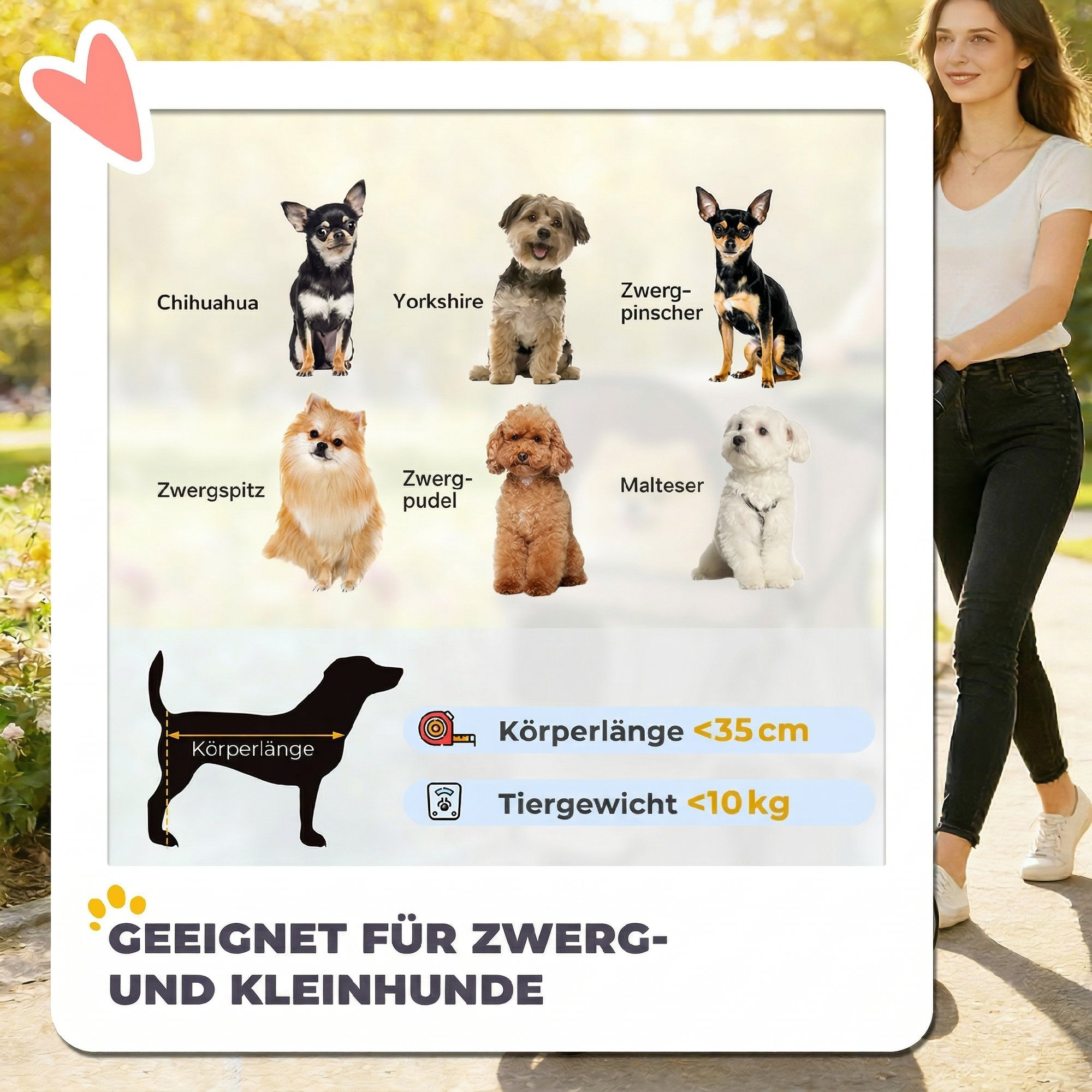 Kokoontaitettava lemmikkirattaat säilytyskorilla ja juomatelineellä, kahvin ja harmaan värinen, enintään 10 kg - Image 4
