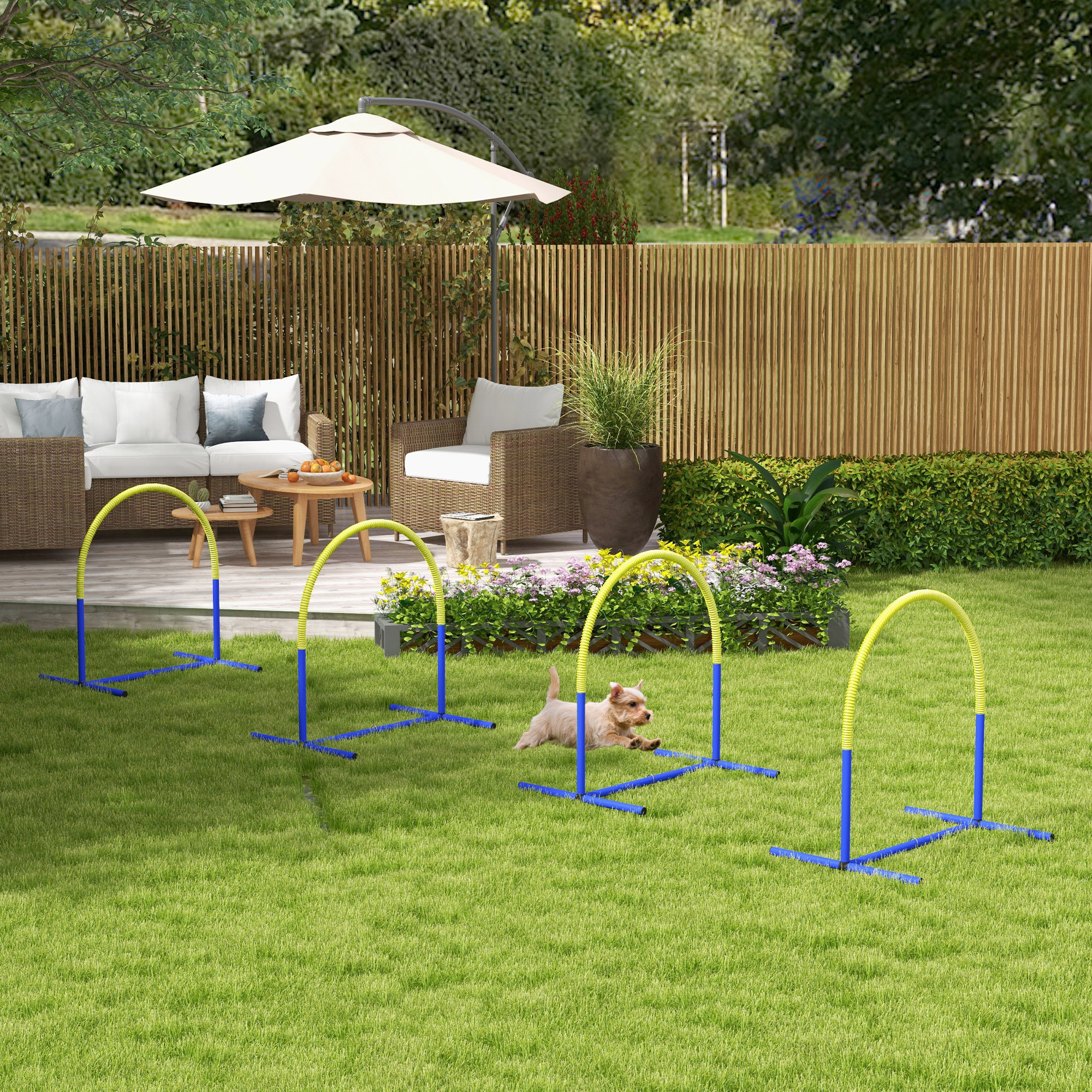 Šunų agility rinkinys, 4 lankai, mėlyna ir geltona, 88 x 64 x 95 cm - Image 2