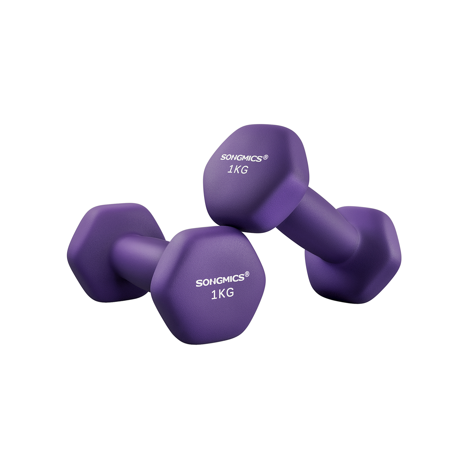 Käsipainosetti, 2 kpl, violetti, valurauta neopreenipinnoitteella, 2 x 1 kg