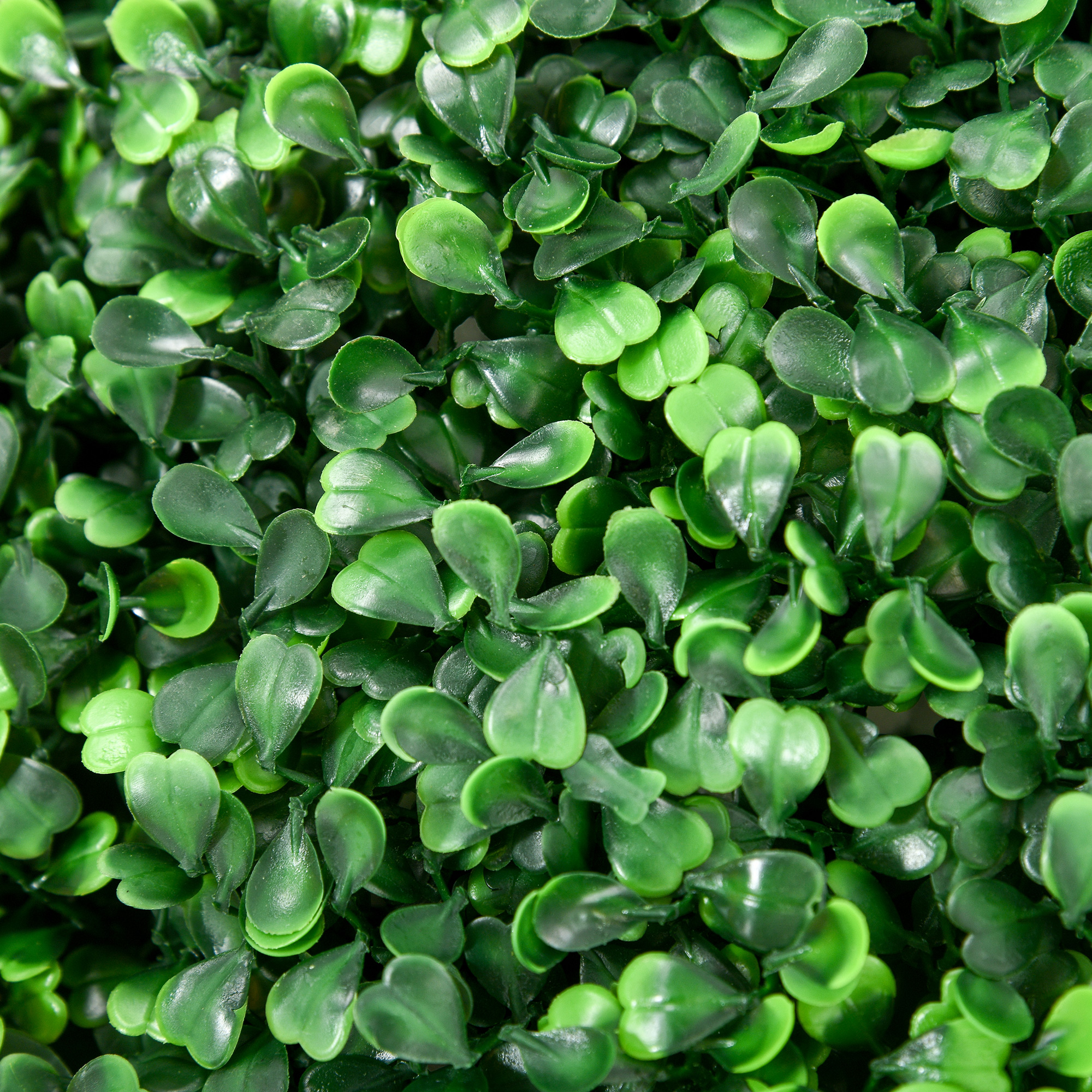 2 vnt dirbtinių buksmedžio rutulių rinkinys, žalia, Ø 50 cm - Image 9