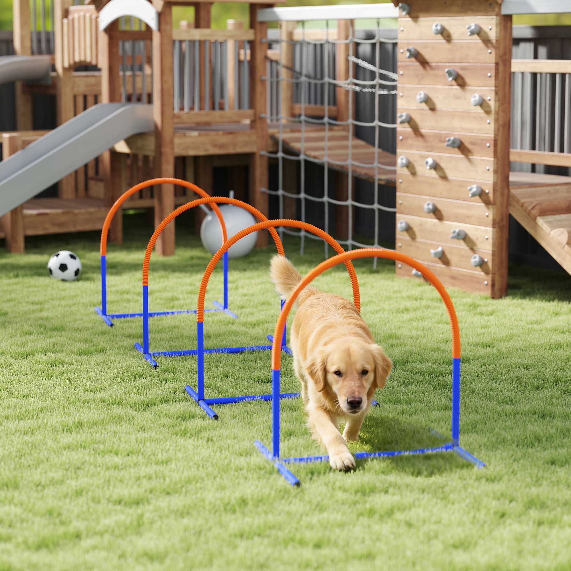 Šunų agility rinkinys, 4 lankai, mėlyna+oranžinė, 88 x 64 x 95 cm - Image 2