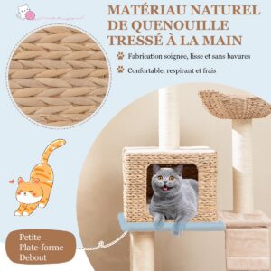 122cm Kassipuu Kattailiga, Sisal Kraapimispostidega, Beež