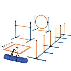 7-osaline koera agility komplekt, oranž ja sinine