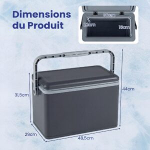 12L kaasaskantav jäähuti RTGP11786GR