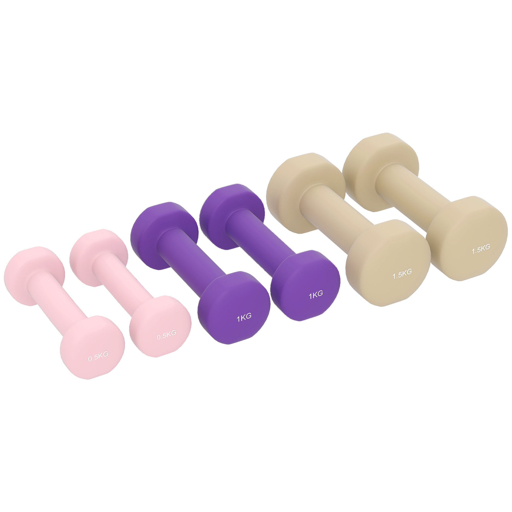 6 daļu hantelu komplekts ar koferi, rozā, violeta, brūna, 0,5 kg, 1 kg, 1,5 kg
