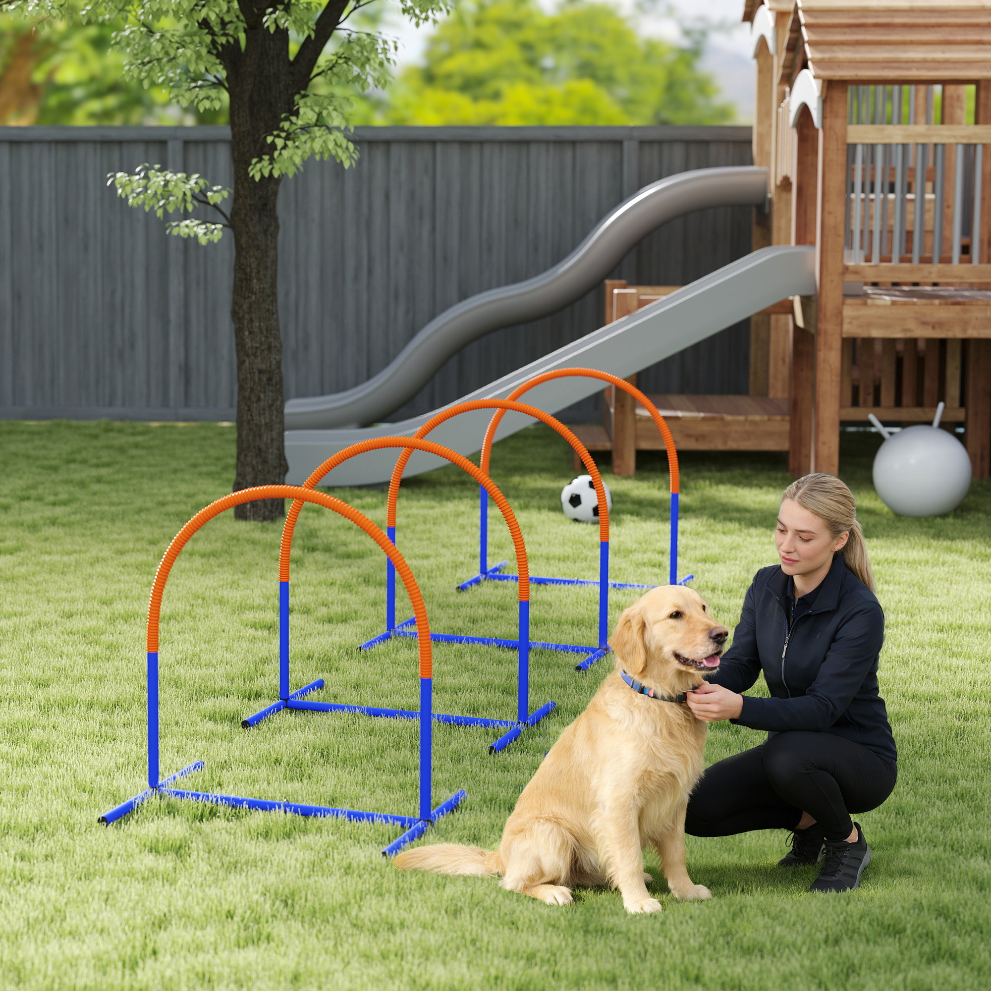 Koera agility-komplekt, 4 kaart, sinine+oranž, 88 x 64 x 95 cm