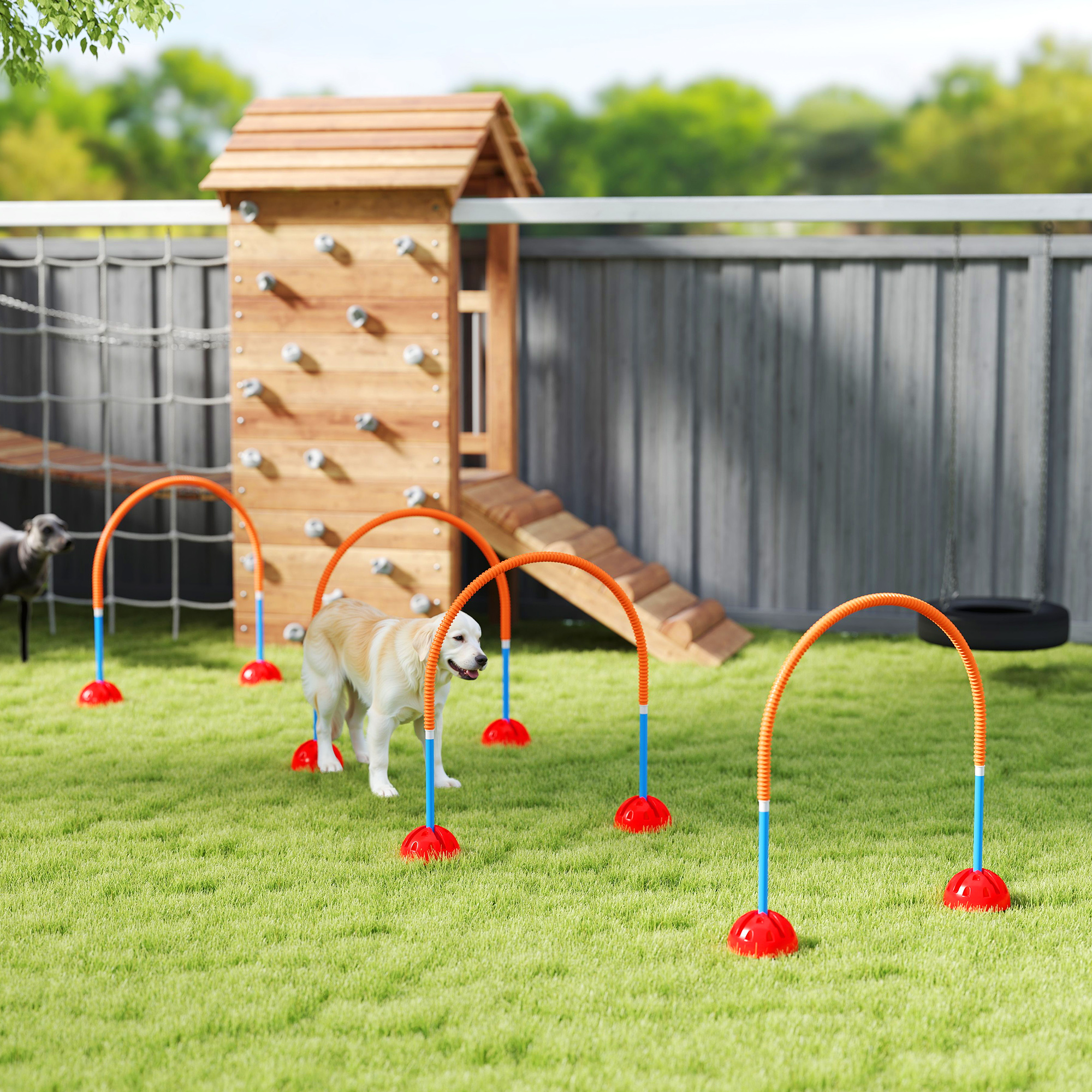 4-osaline koera agility treeningkomplekt 4 väravaga, reguleeritav laius, kandekott, sinine