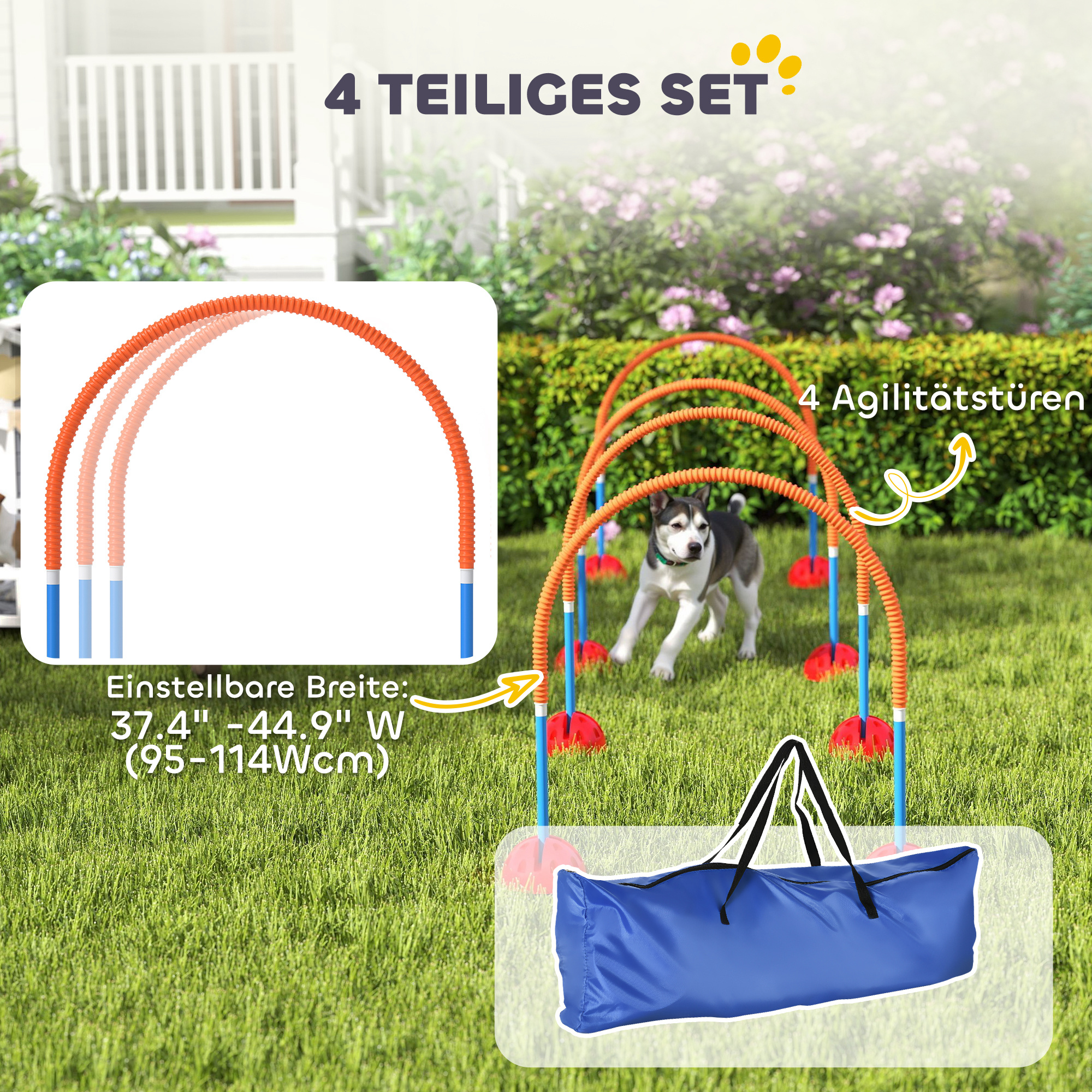 4-osaline koera agility treeningkomplekt 4 väravaga, reguleeritav laius, kandekott, sinine