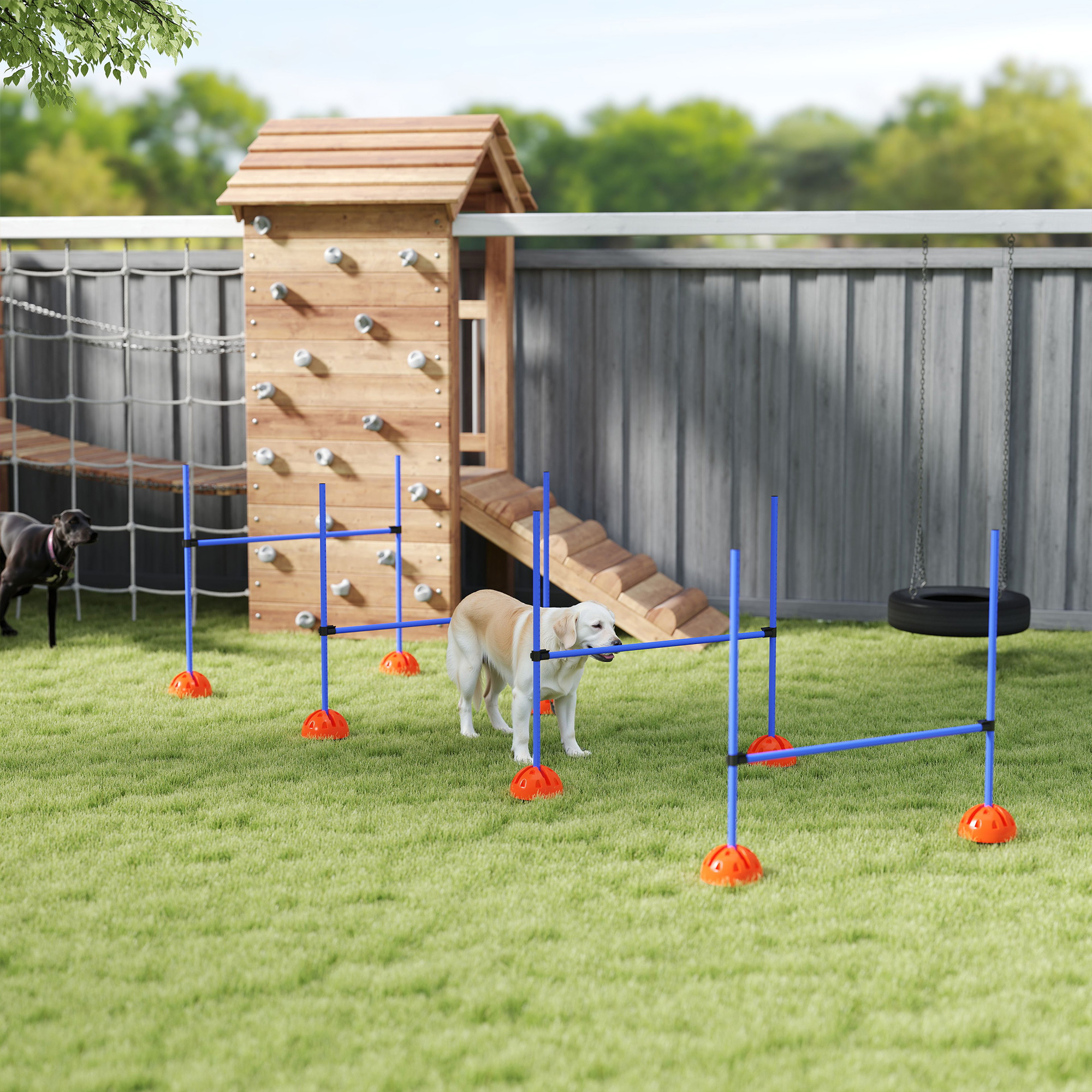 4-osaline koera agility komplekt 4 tõkke ja kandekotiga, sinine
