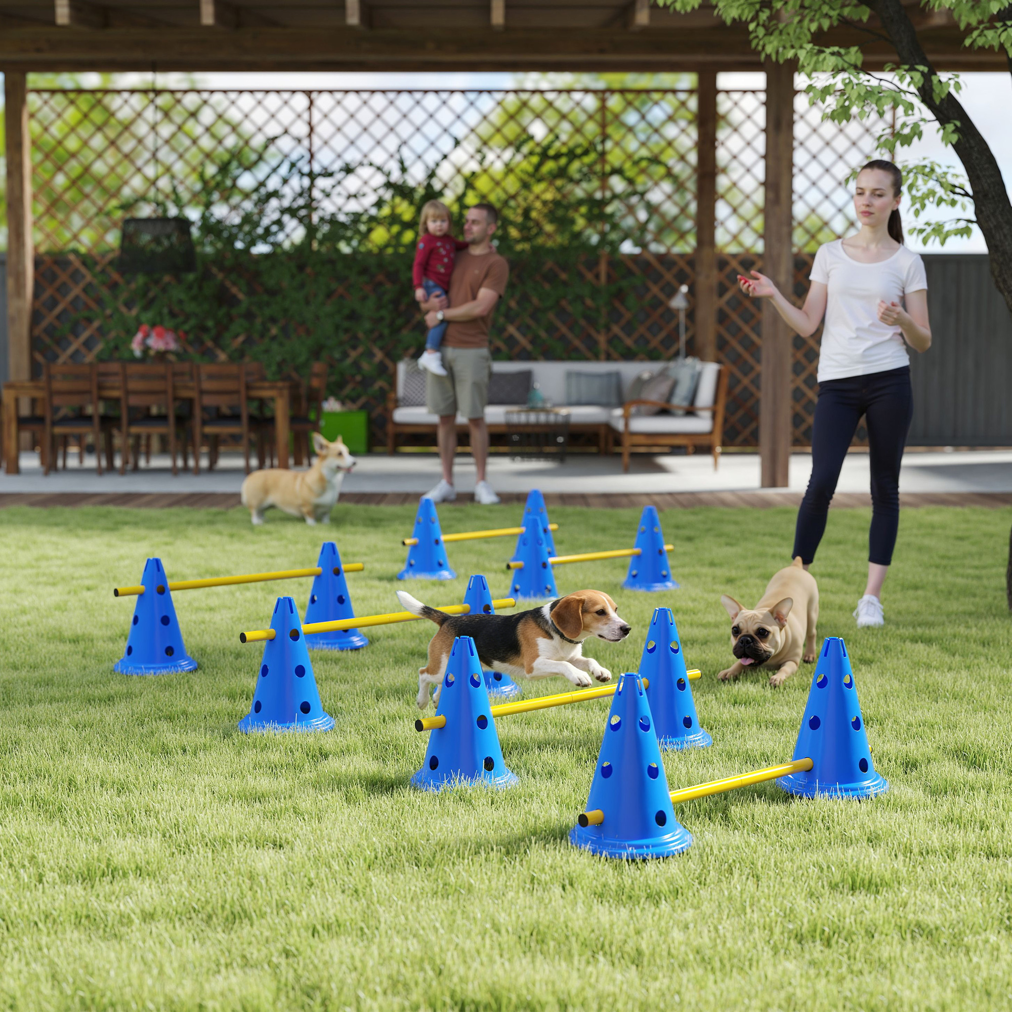 6-osaline koerte agility takistuskomplekt, sinine / kollane, plastmass, 80 x 22,5 x 30 cm