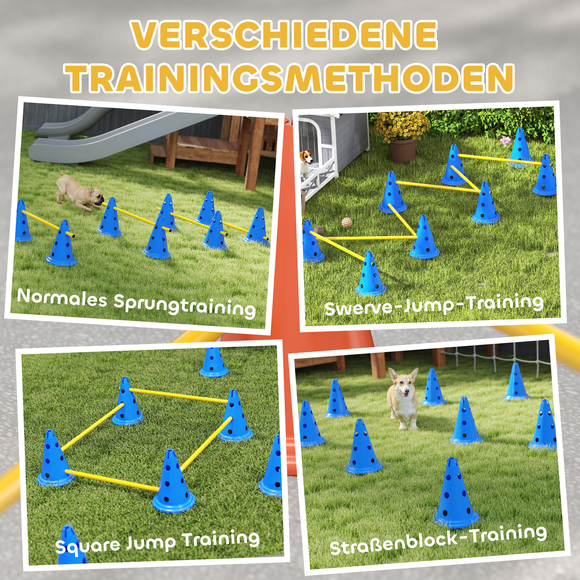 6-osaline koerte agility takistuskomplekt, sinine / kollane, plastmass, 80 x 22,5 x 30 cm