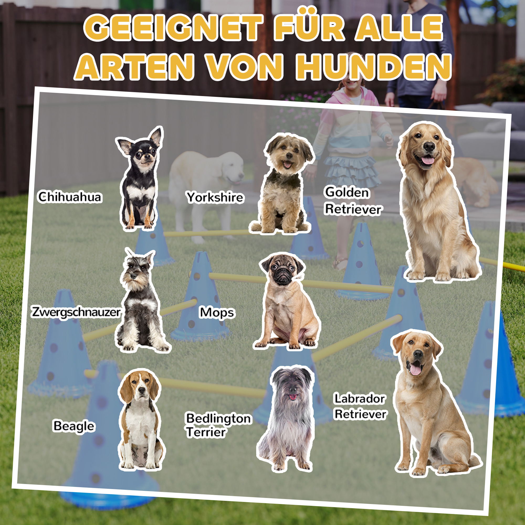 6-osaline koerte agility takistuskomplekt, sinine / kollane, plastmass, 80 x 22,5 x 30 cm