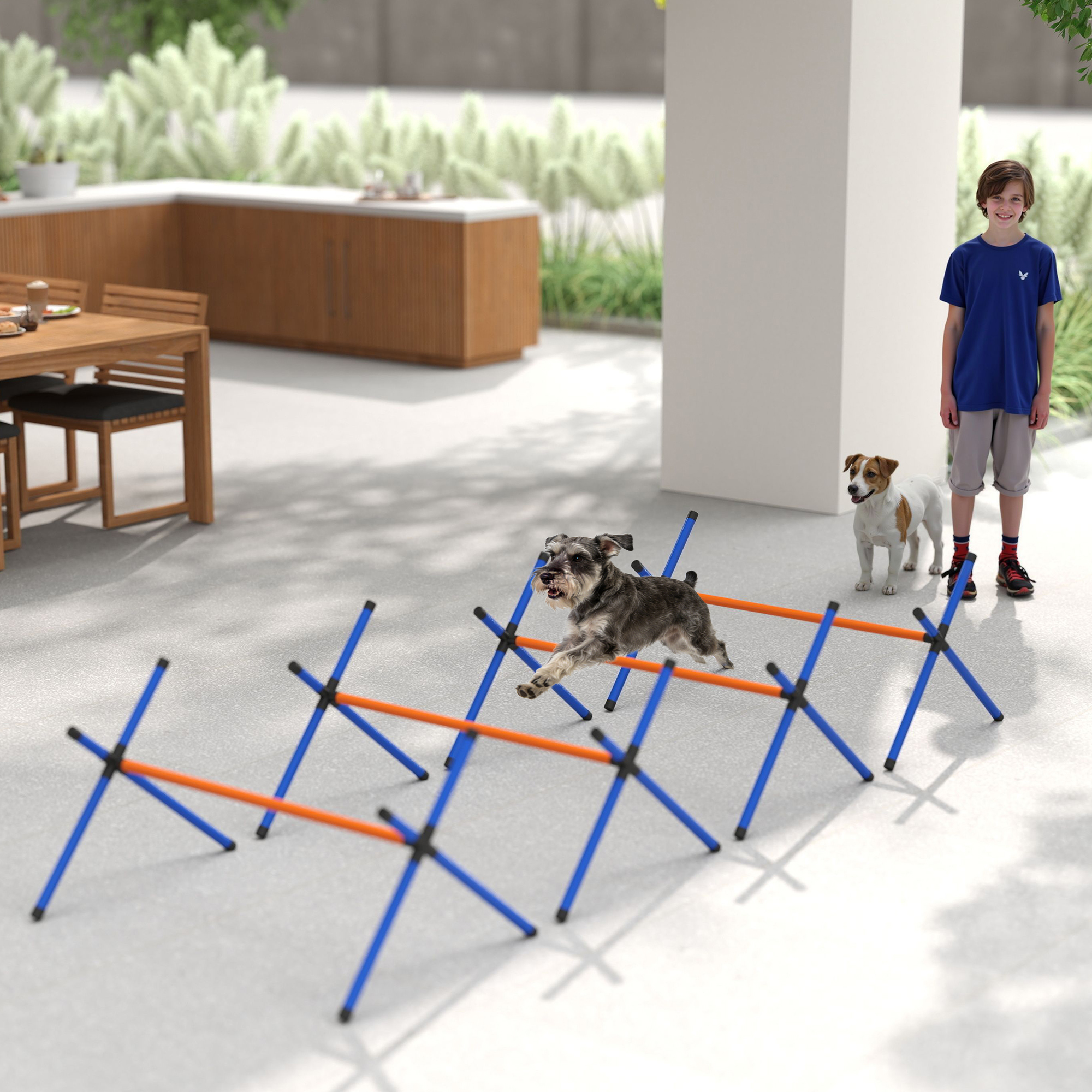 4-osaline koerte agility komplekt, oranž, sinine, must, 87 x 56 x 41 cm