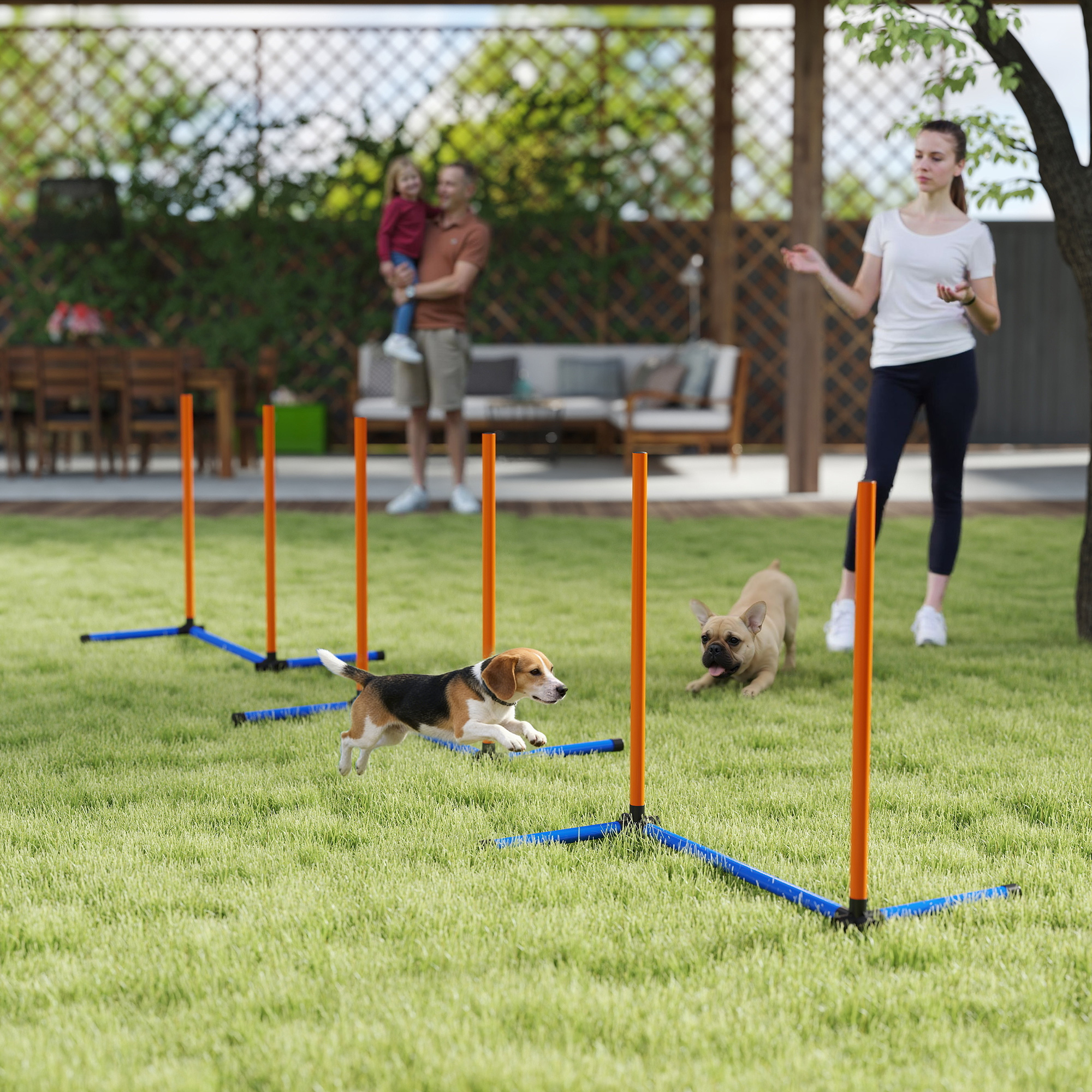 3-osaline koera agility komplekt, oranž, sinine, must, 65 x 64 x 69 cm