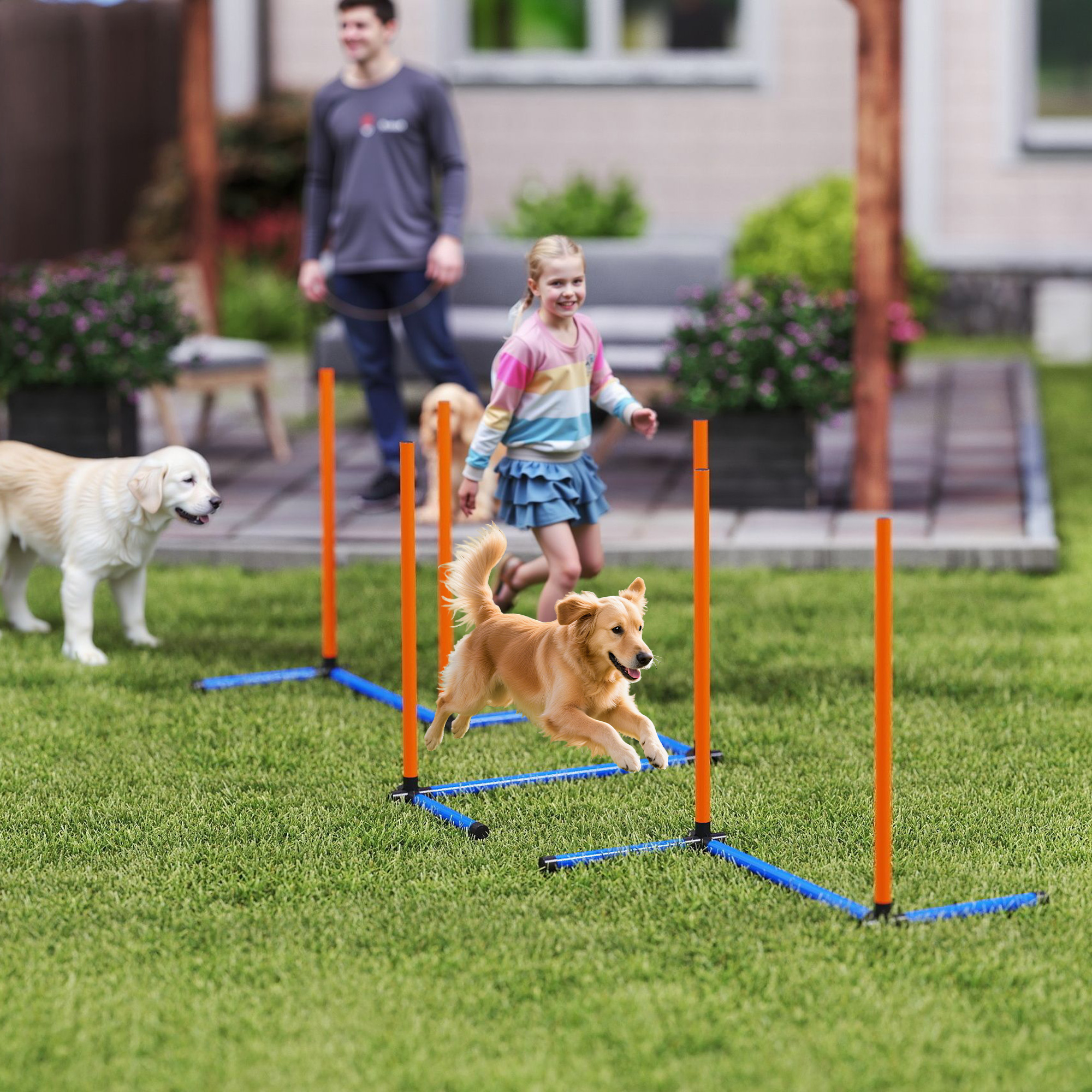3-osaline koera agility komplekt, oranž, sinine, must, 65 x 64 x 69 cm