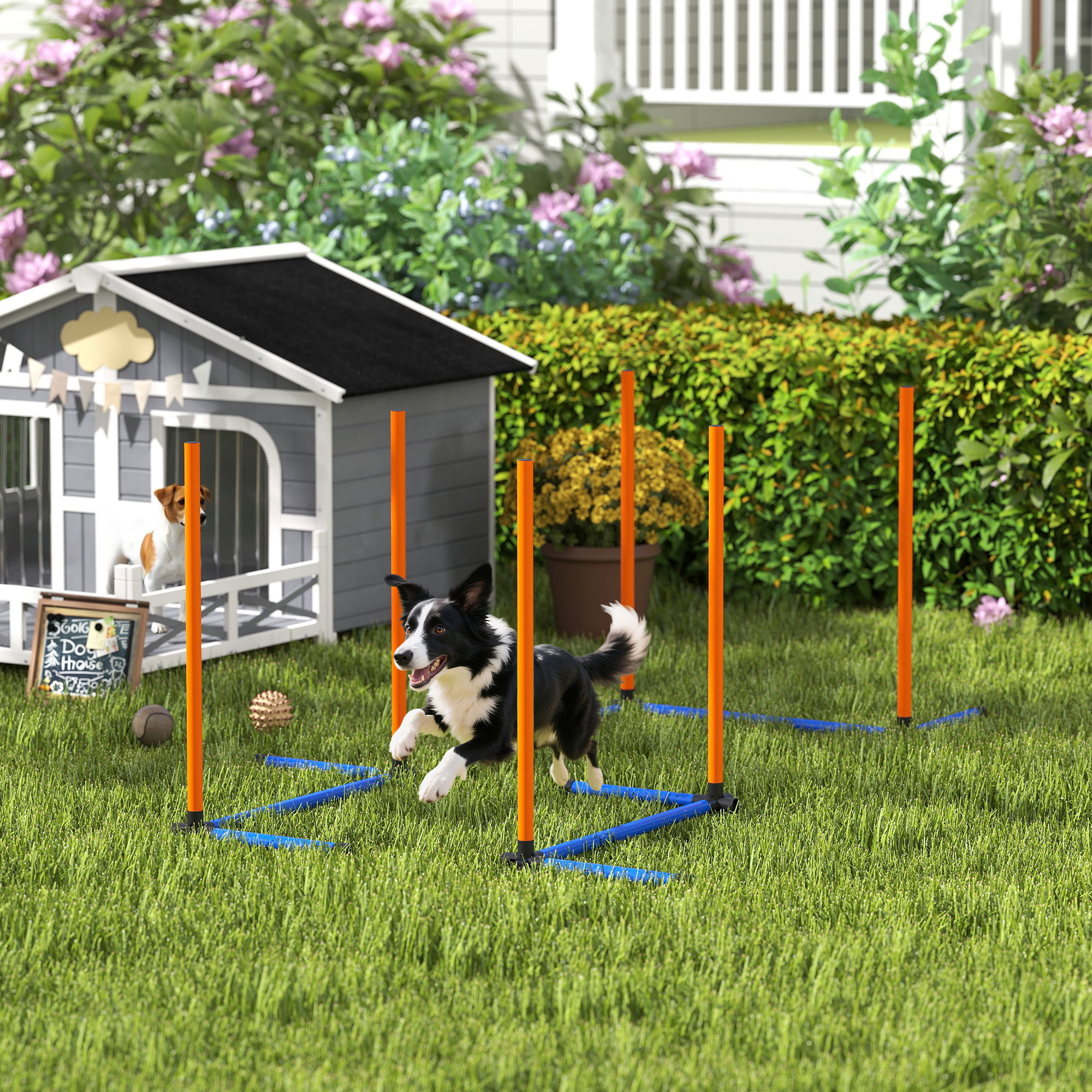 3-osaline koera agility komplekt, oranž, sinine, must, 65 x 64 x 69 cm