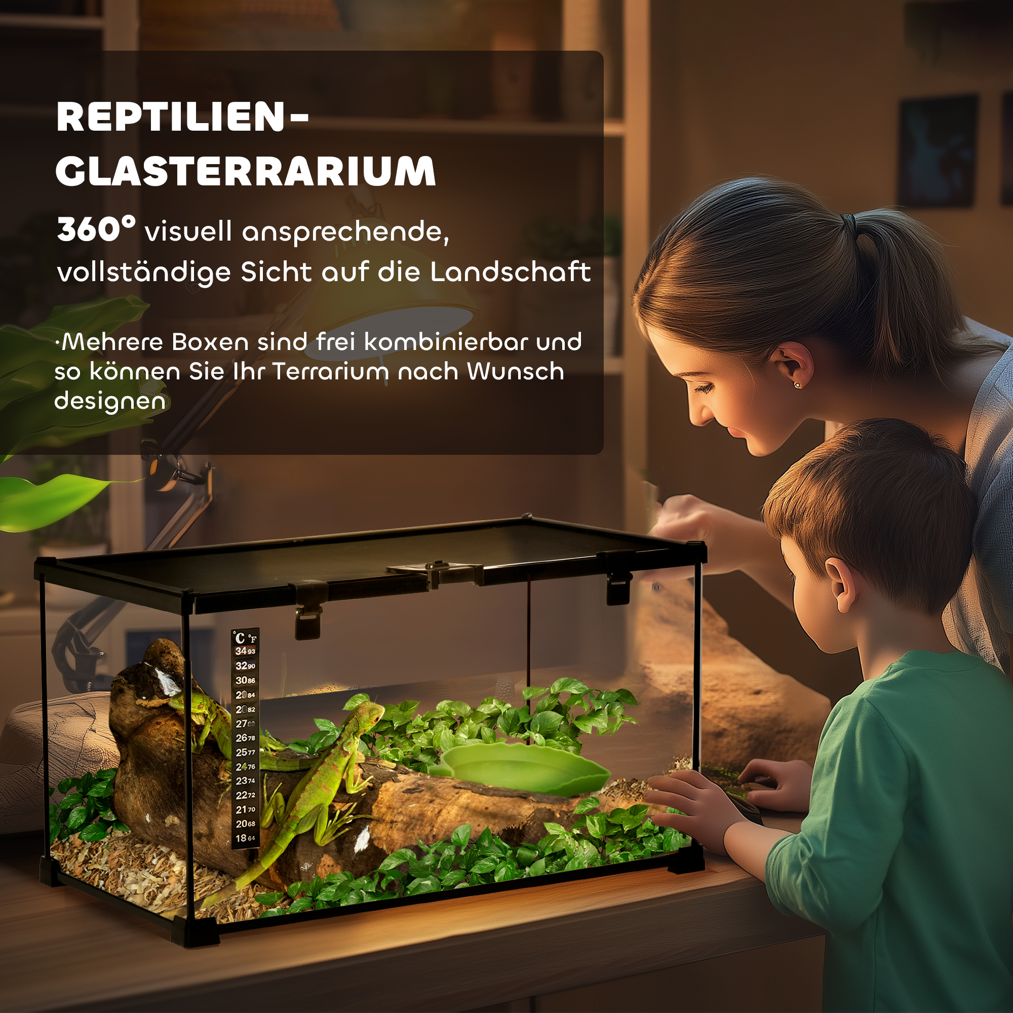 Terrarium, must, 50 x 30 x 25 cm, karastatud klaas ja teras