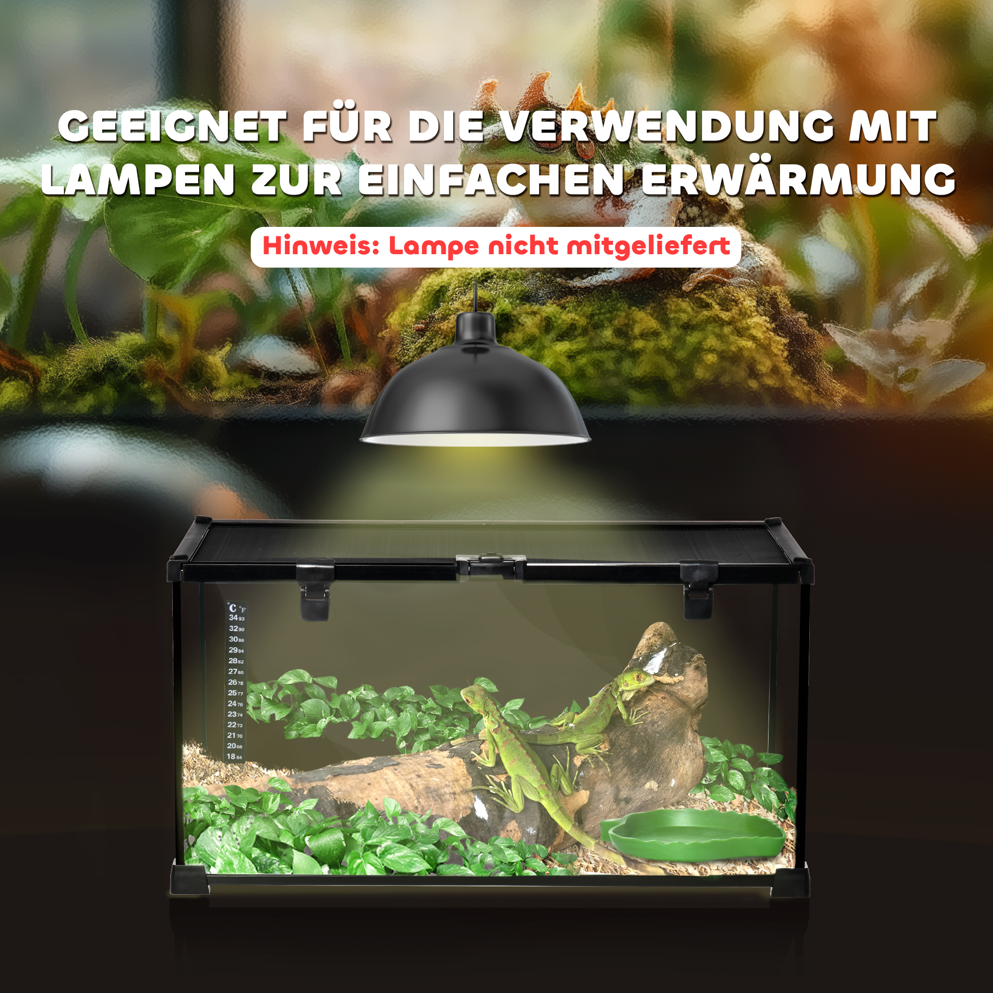 Terrarium, must, 50 x 30 x 25 cm, karastatud klaas ja teras