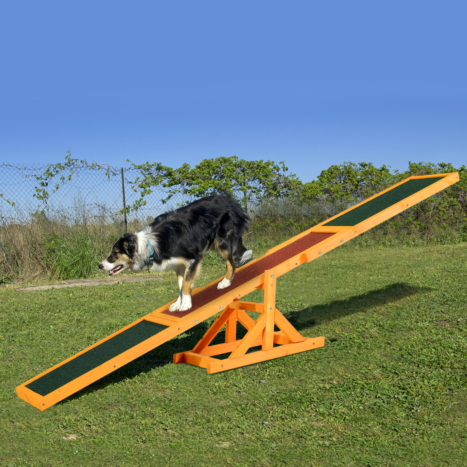 Koera agility tasakaalukiik, libisemiskindel pind, kuni 30 kg, 180 x 30 x 30 cm