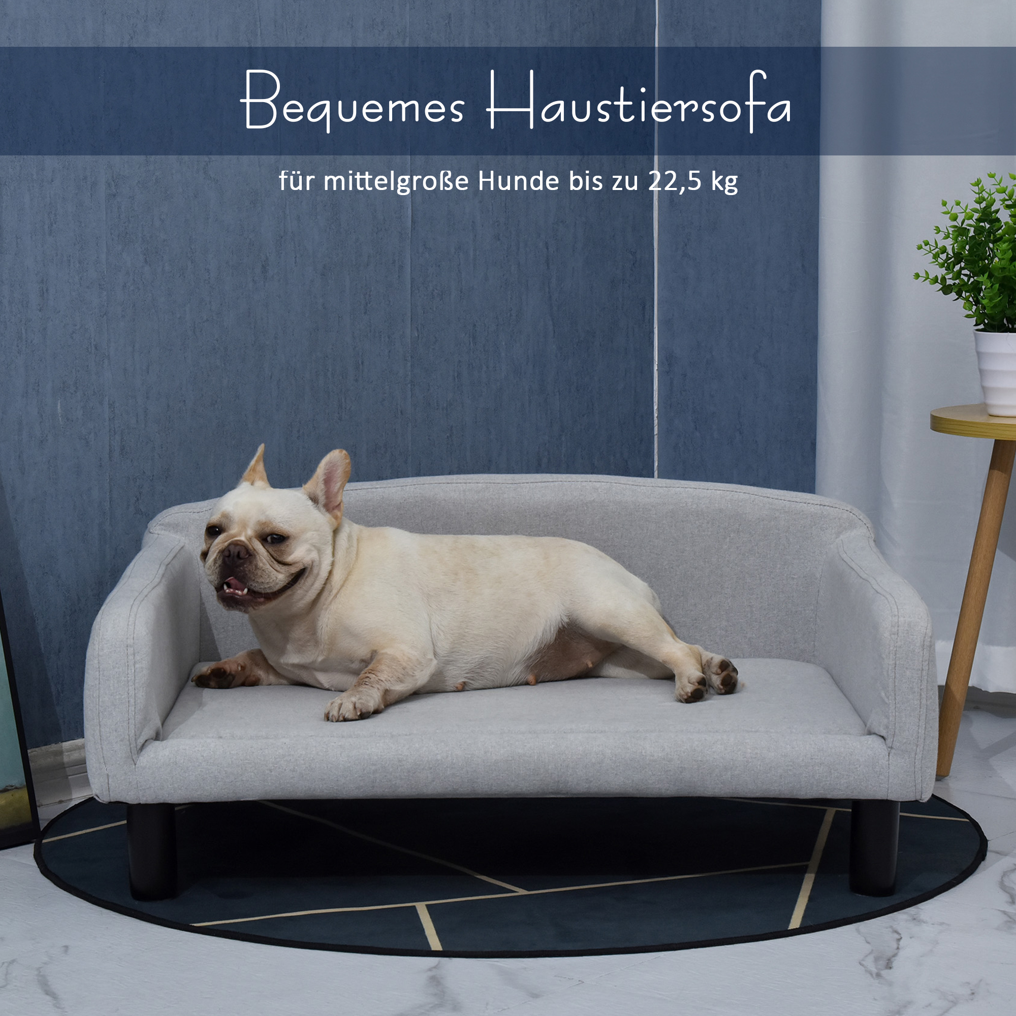 Helehall eemaldatava padjaga lemmikloomadiivan, kuni 20 kg