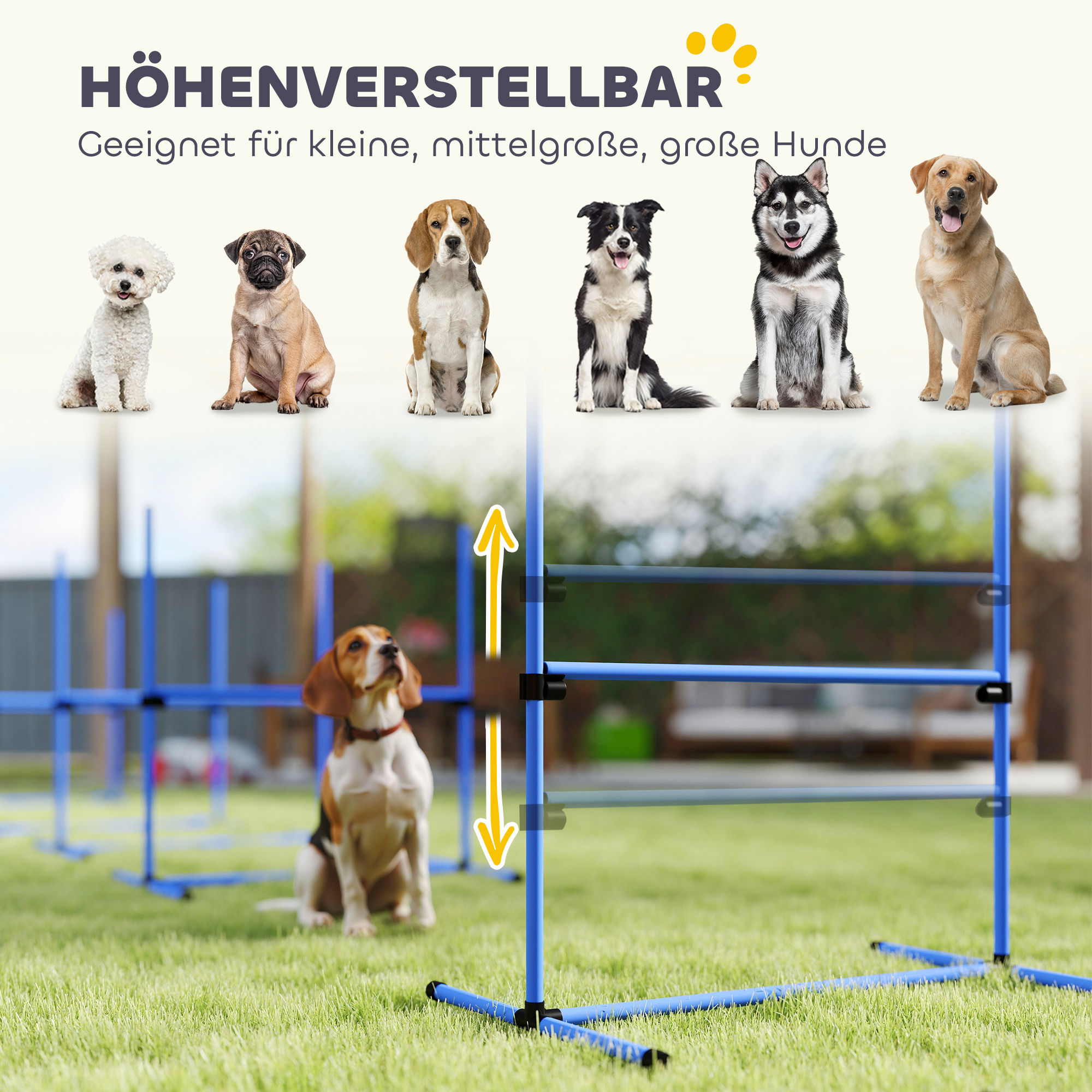 Reguleeritav koera agility komplekt, 4-osaline, sinine, 99 x 65 x 94 cm