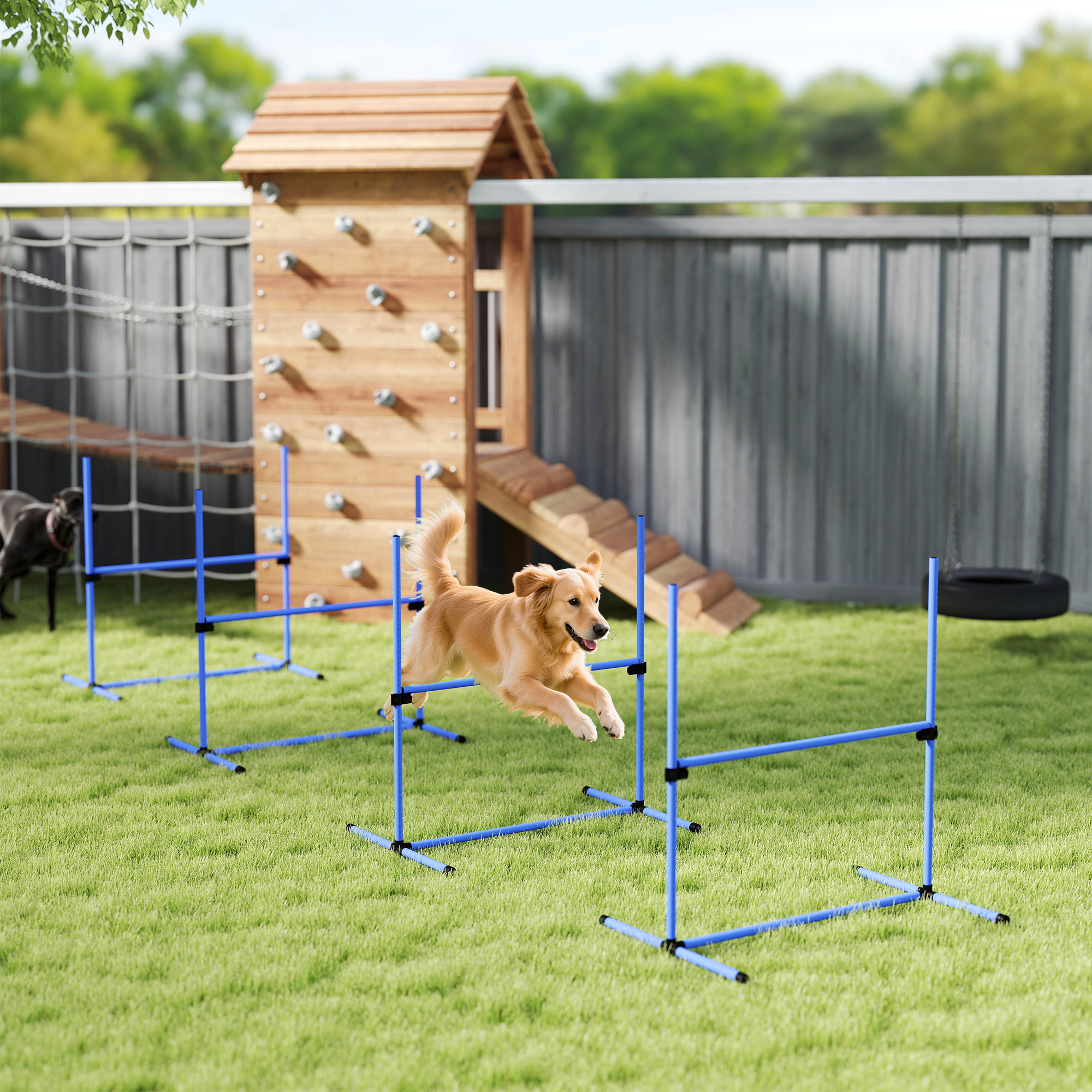 Reguleeritav koera agility komplekt, 4-osaline, sinine, 99 x 65 x 94 cm