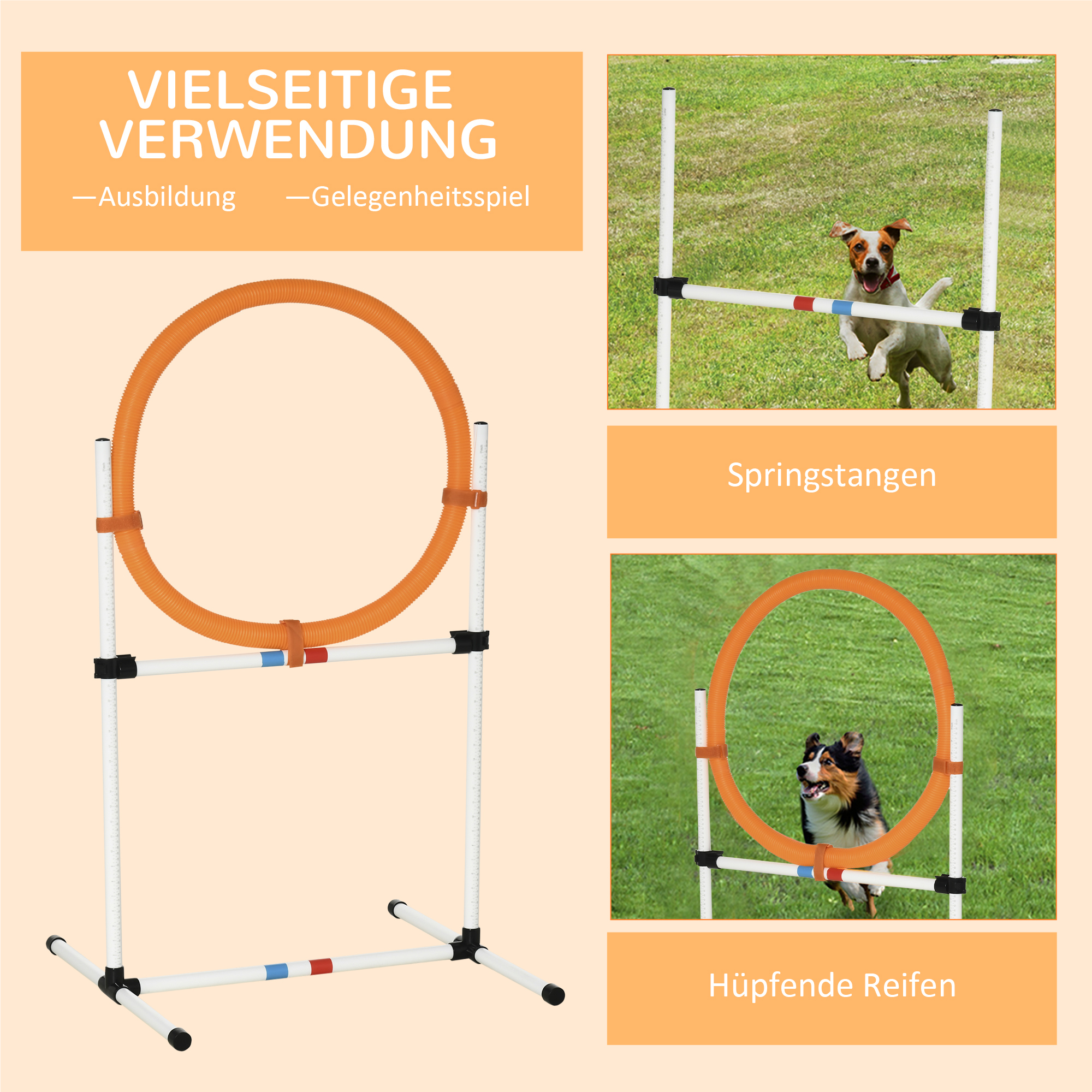 Koera agility treeningkomplekt rõngaga 2-ühes, Model 4, PE plast, valge+oranž, 74,5 x 66 x 91 cm