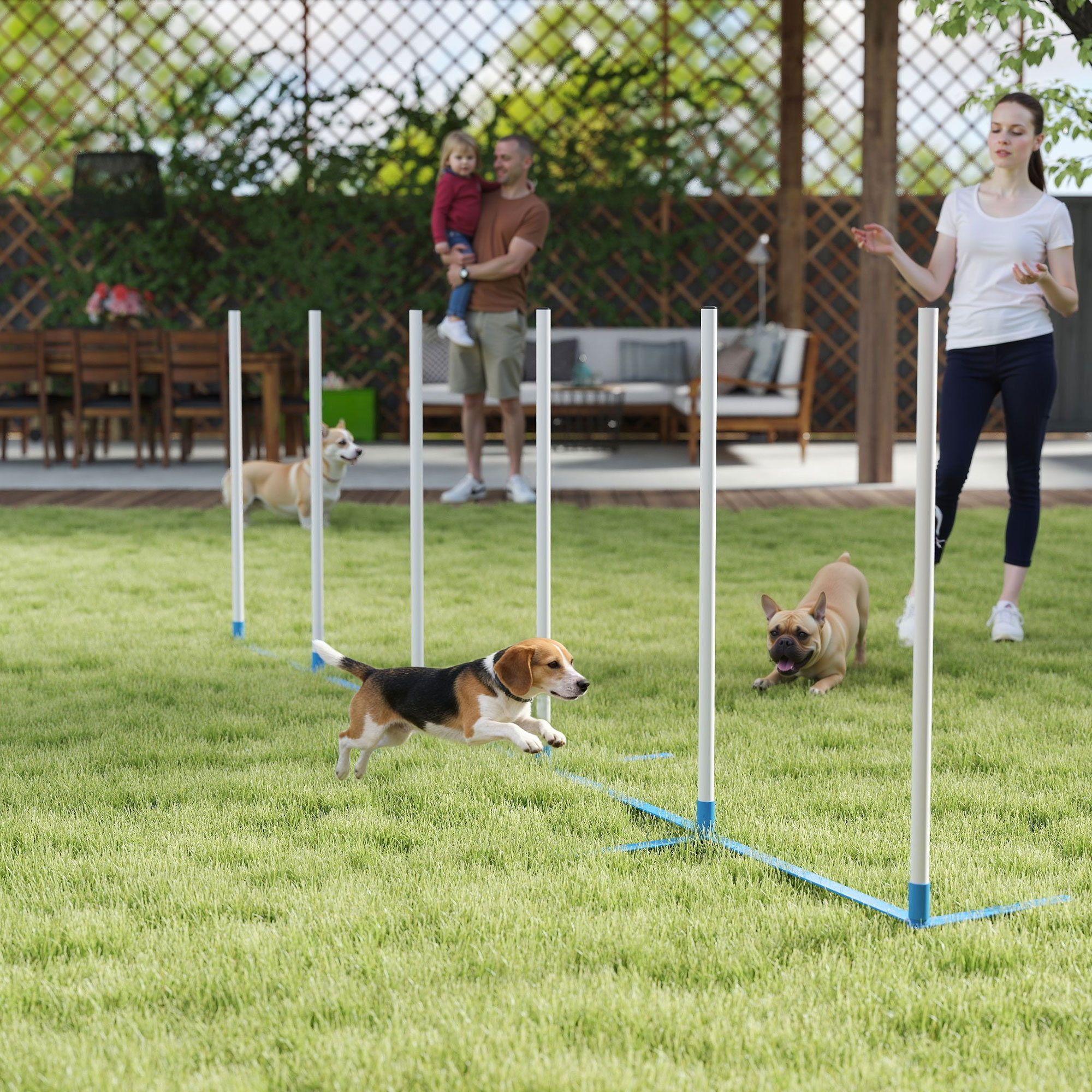 Koera agility komplekt, 6-osaline, kokkupandav, sinine ja valge, 305 x 60 x 94 cm