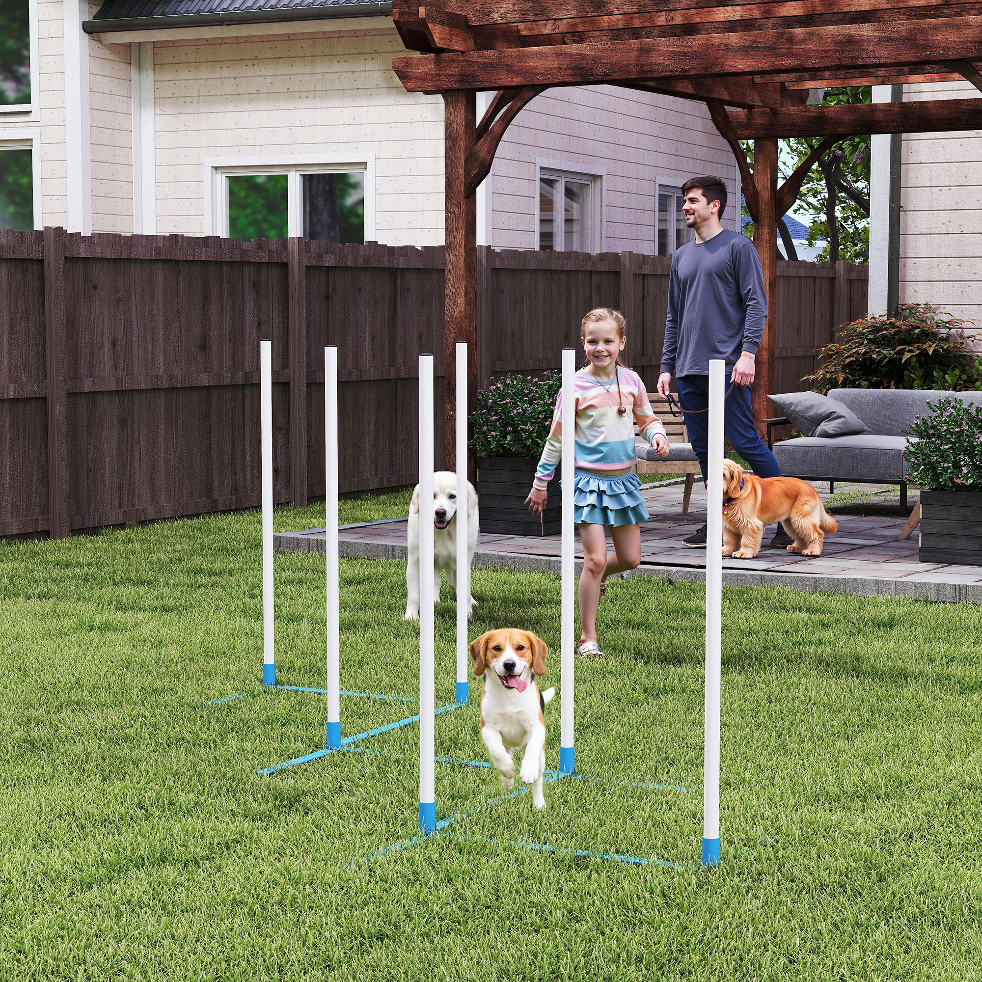 Koera agility komplekt, 6-osaline, kokkupandav, sinine ja valge, 305 x 60 x 94 cm