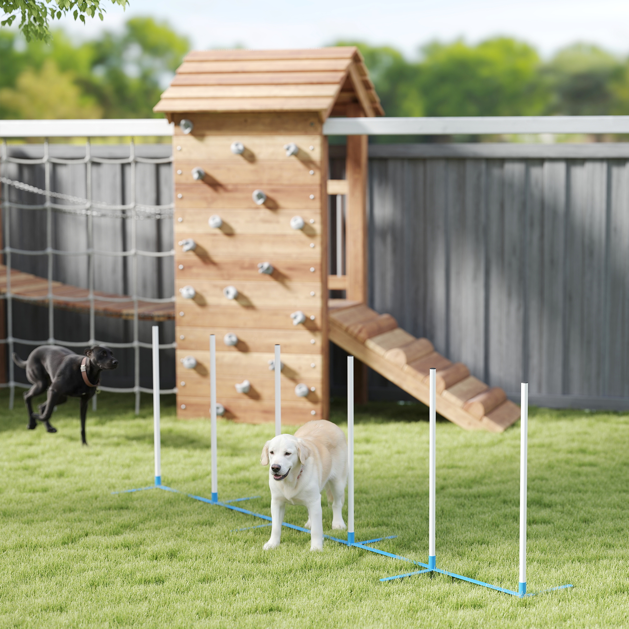 Koera agility komplekt, 6-osaline, kokkupandav, sinine ja valge, 305 x 60 x 94 cm