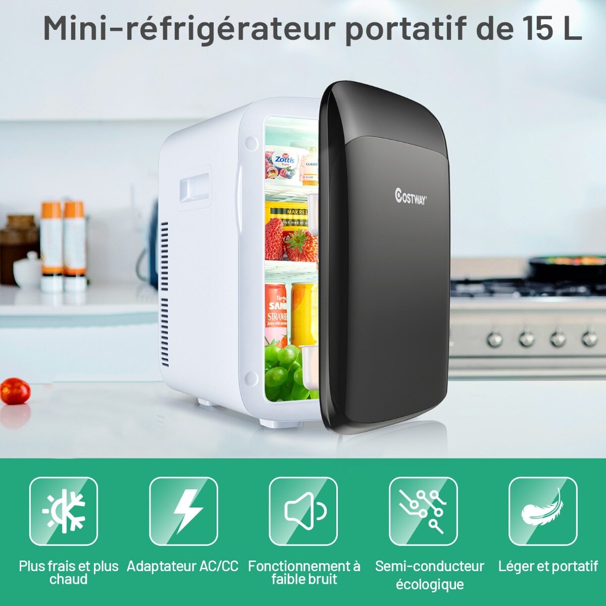 15L Mini külmik ja soojendaja