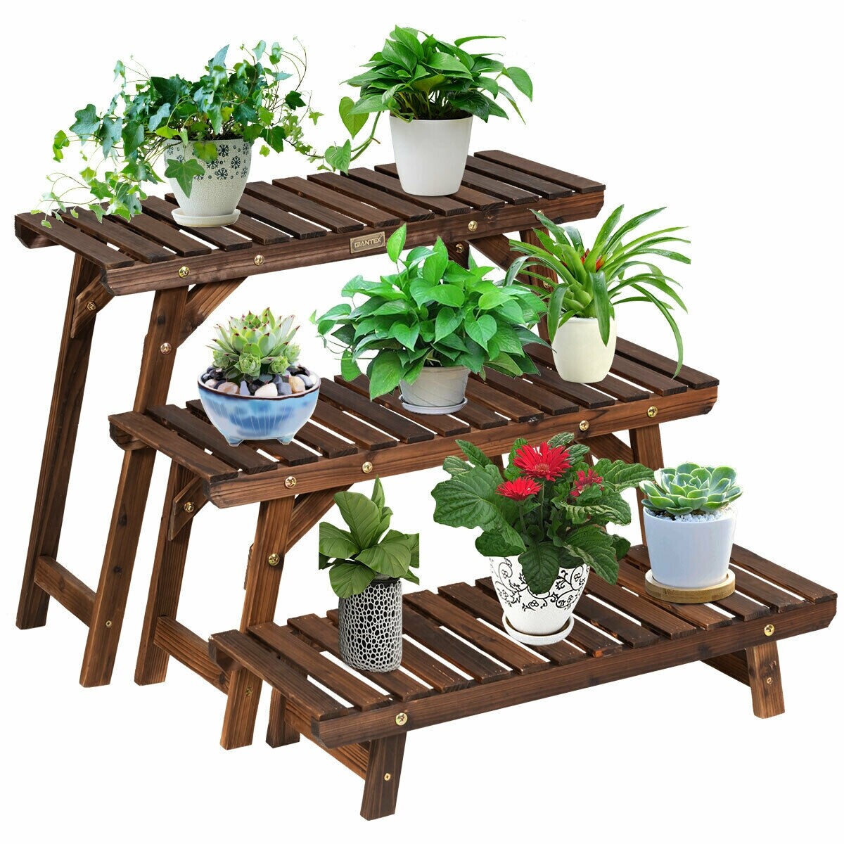Kolmekorruseline sammaldiseisuga puidust taimealus, naturaalne