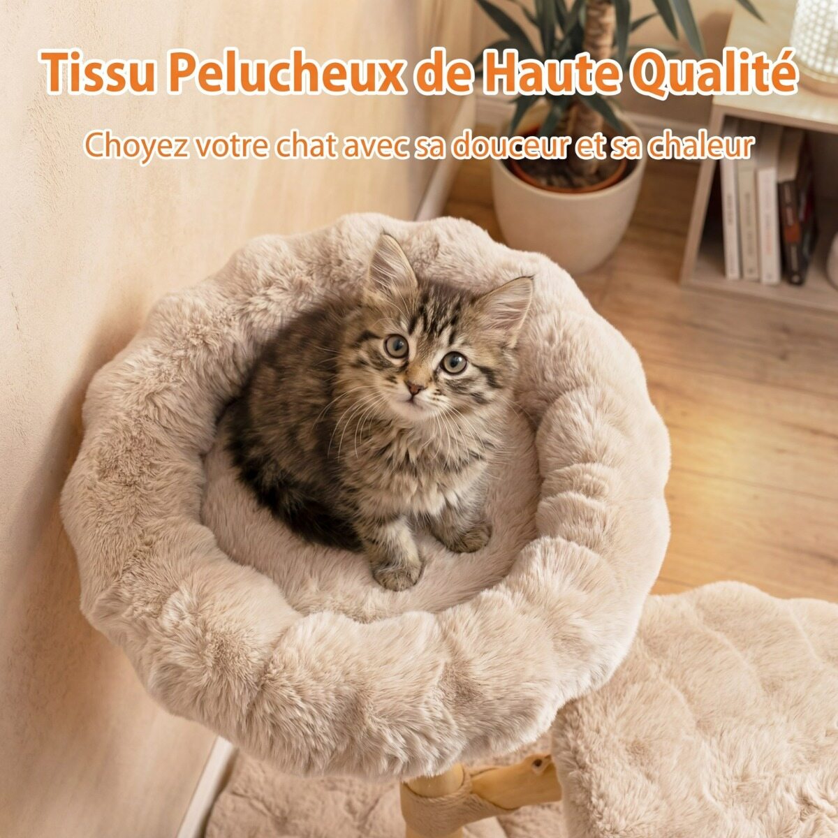 Pärnapuust Kassipuu Beež