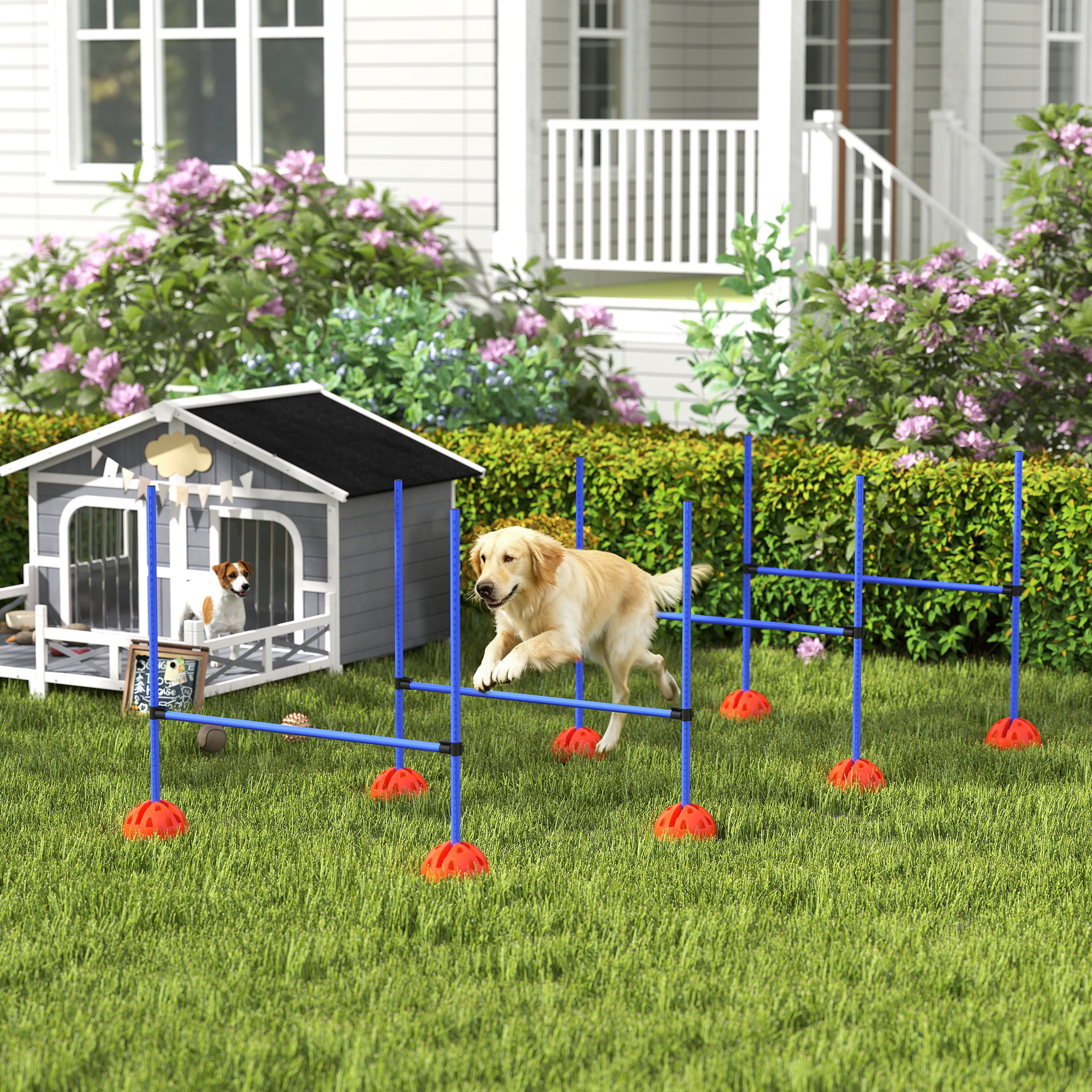 4-osainen koiran agility-setti, 4 estettä ja kantolaukku, sininen - Image 2