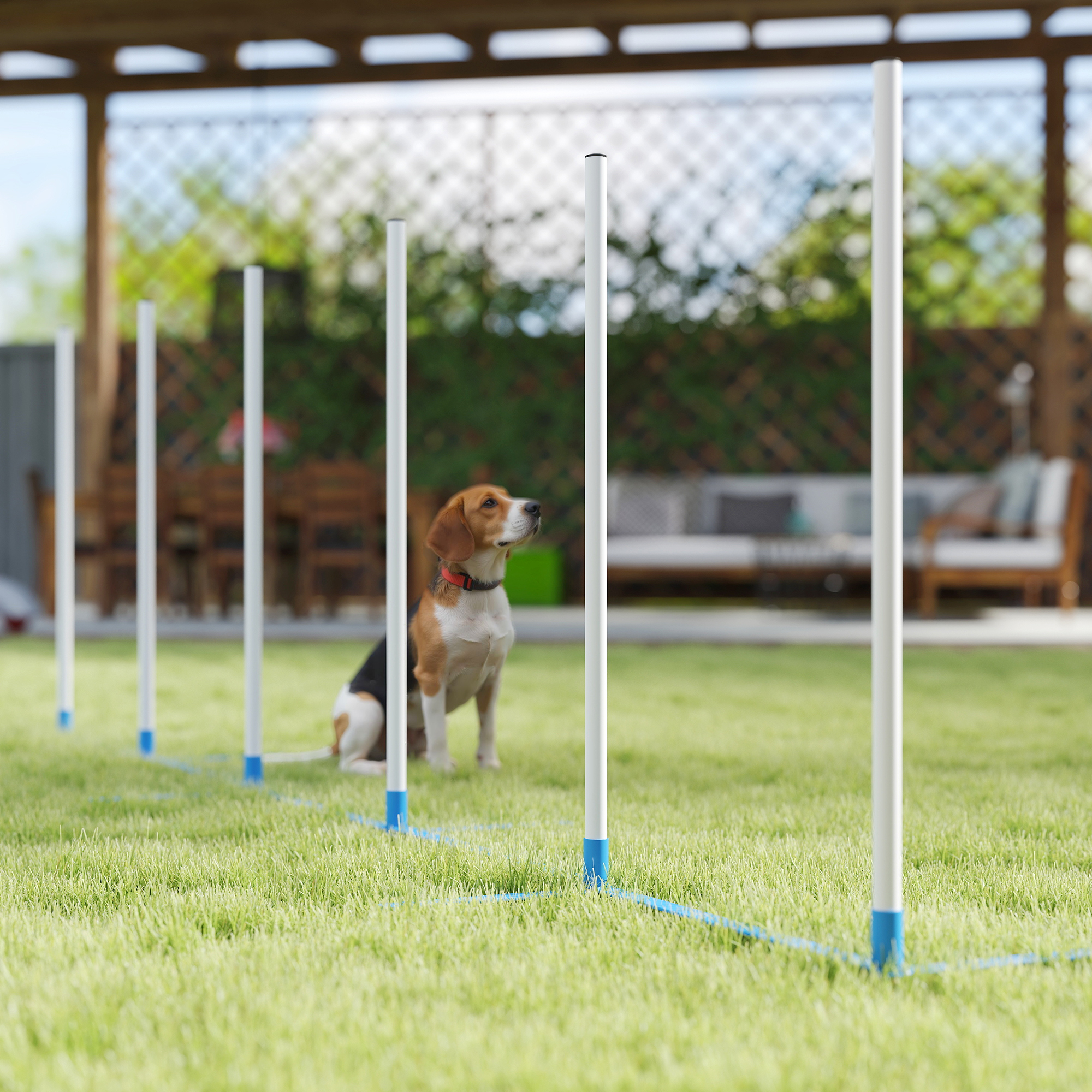 Suņu agility komplekts, 6 daļas, salokāms, zila un balta, 305 x 60 x 94 cm - Image 9