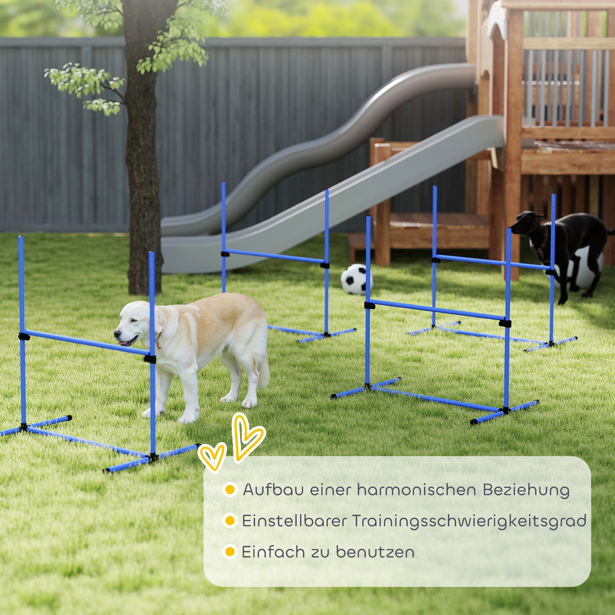 Reguliuojamas šunų agility rinkinys, 4 dalių, mėlynas, 99 x 65 x 94 cm - Image 7