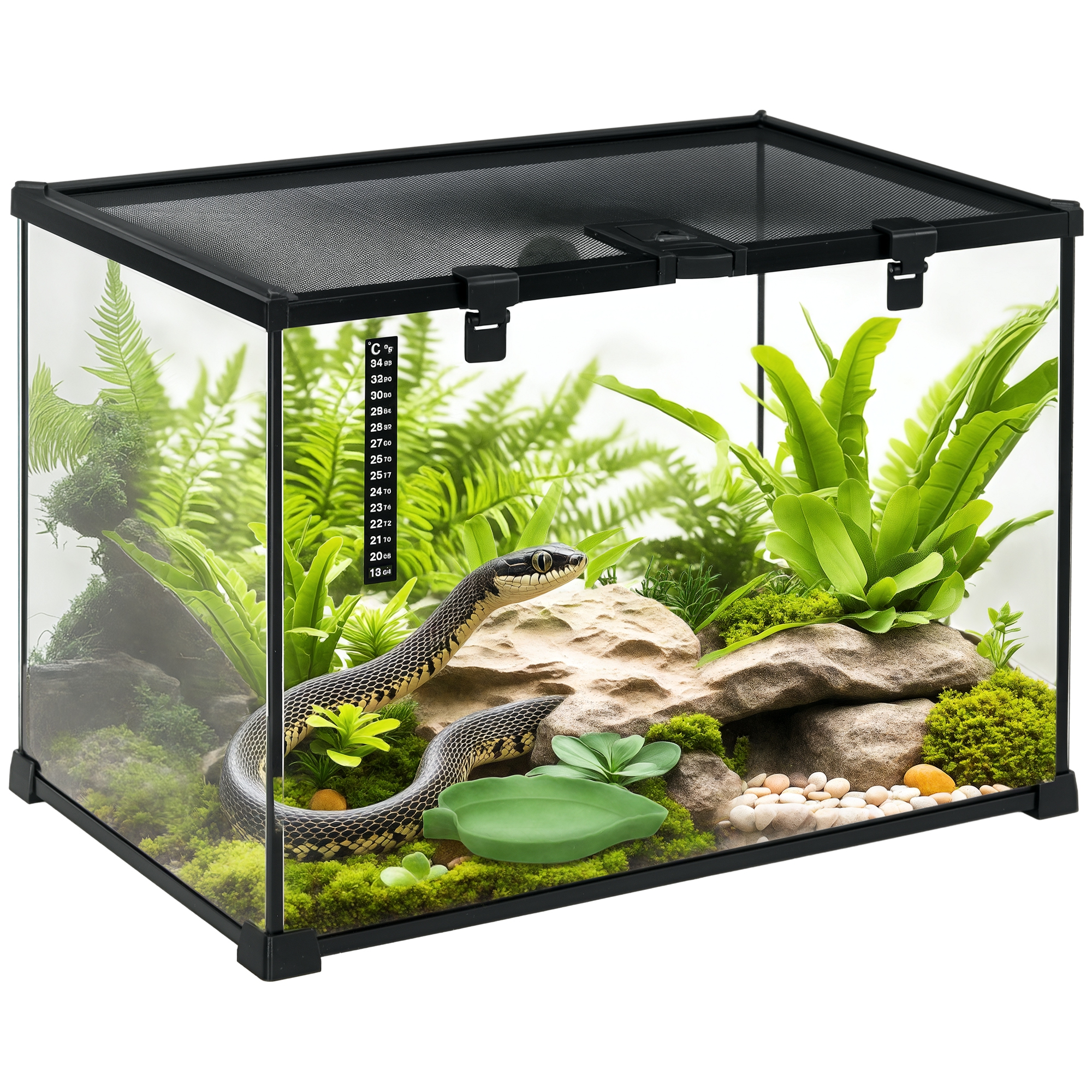 Terraarium roomajatele, must, 50 x 30 x 35 cm