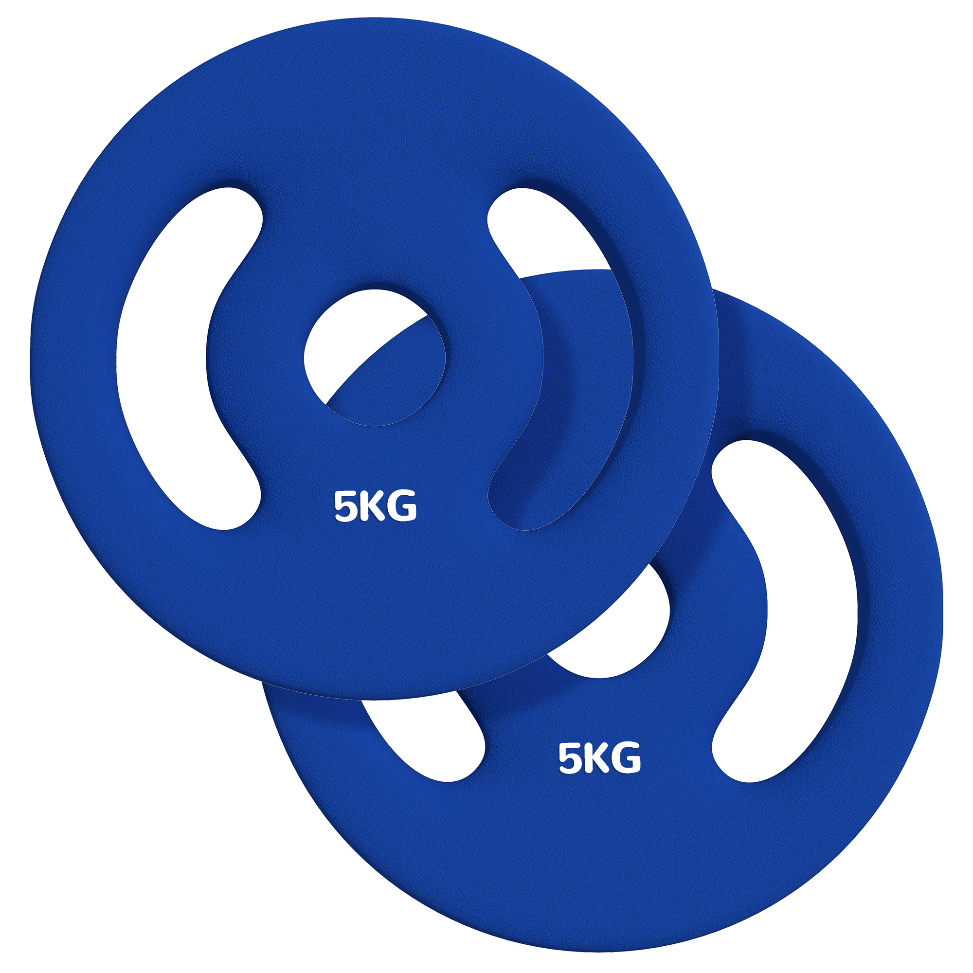 2 x 5 kg raskusplaadid käepidemetega, sinised, 10 kg