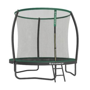 Aiatrampoliin turvavõrguga, läbimõõt 244 cm, must tumeroheline