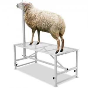 Kitse ja lamba alus, reguleeritava kõrgusega metallist hooldus- ja pügamisalus, peatoe ja ninarihmaga, 227 kg, valge