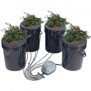 DWC hüdropoonikasüsteem ülalt tilguti komplektiga, 4 ämbrit, 20 l
