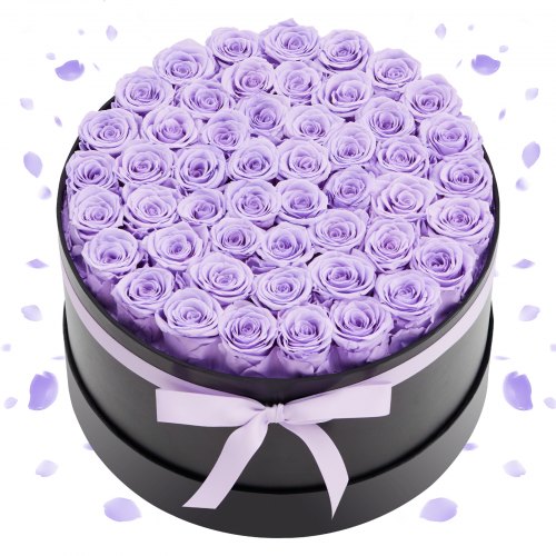 50 konservētu rožu kastē, lavandas violets