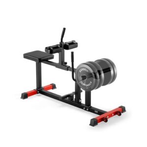 Istuv sääre treeningmasin, 199,6 kg kandevõime, sobib 13 mm raskusplaatidele